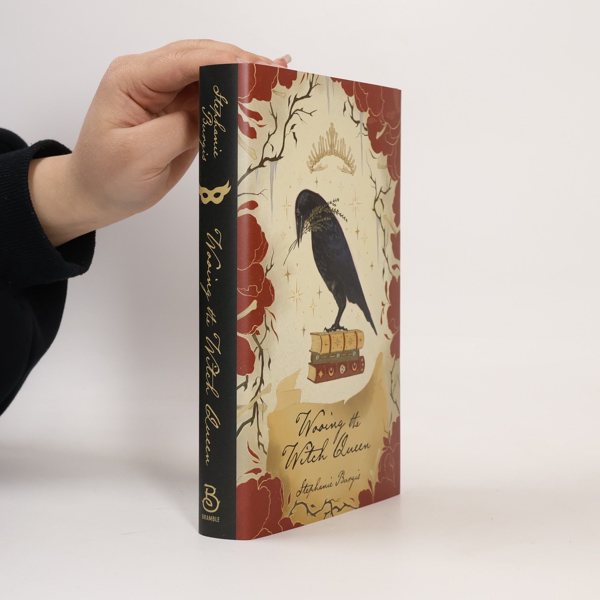 Stephanie Burgis The Queens of Villainy: Wooing the Witch Queen