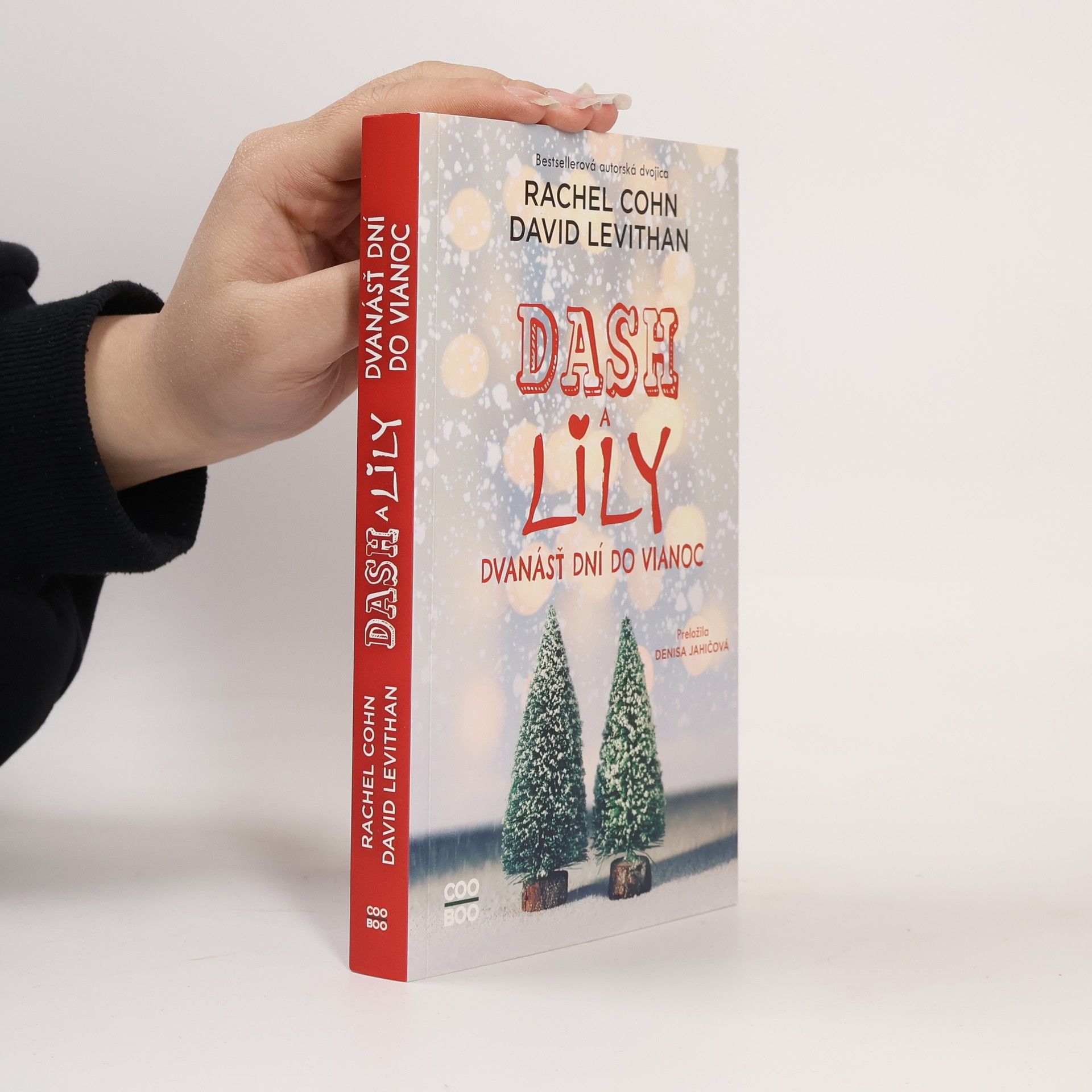 Rachel Cohn Dash a Lily: Dvanácť dní do Vianoc