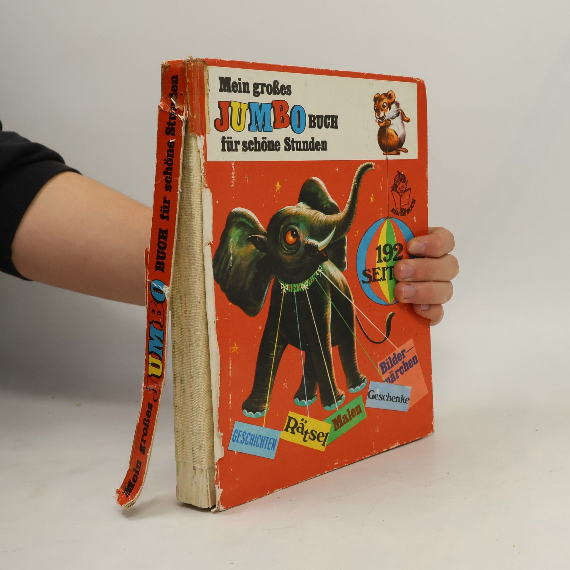 Autorenkollektiv Mein großes Jumbo Buch für schöne Stunden