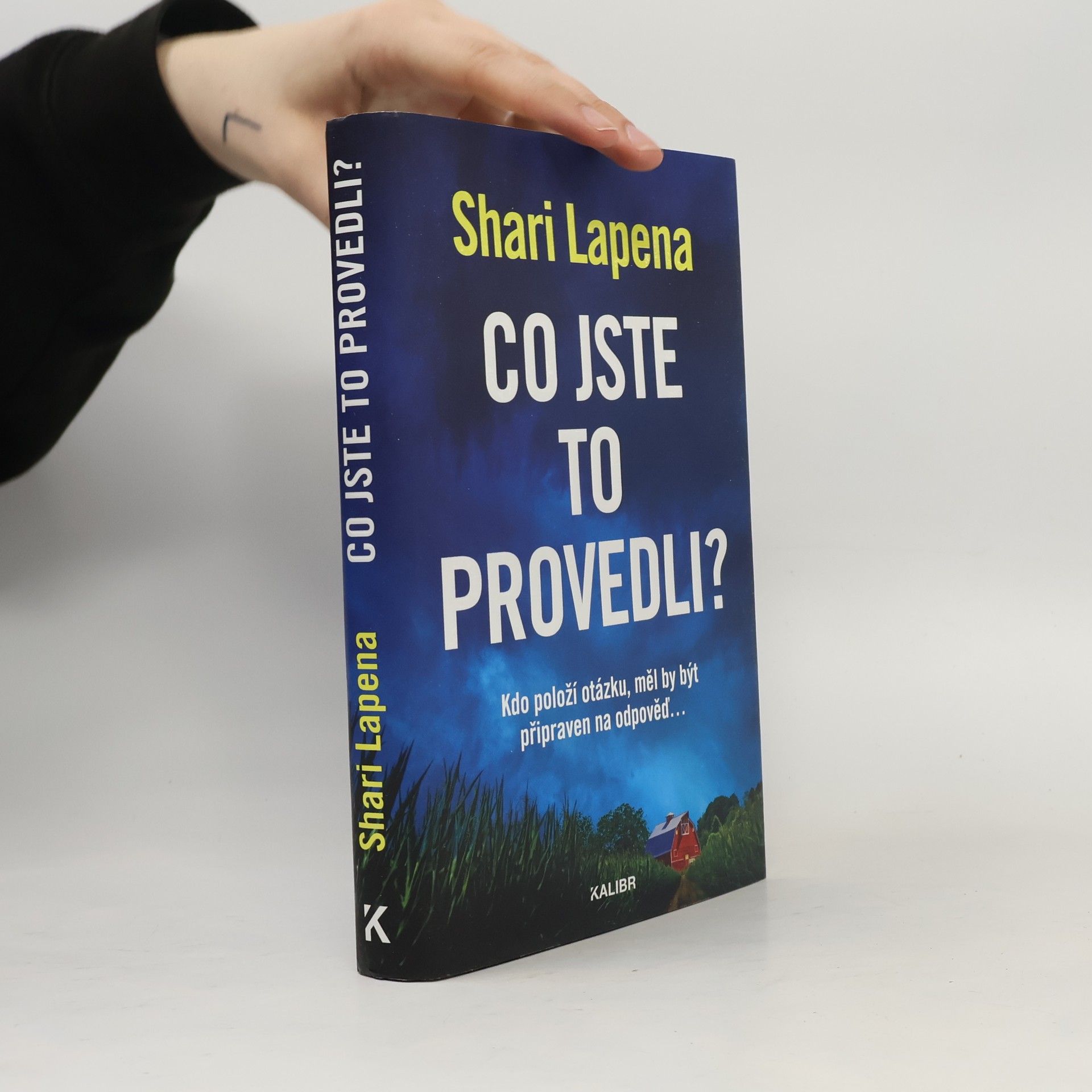 Shari Lapena Co jste to provedli?