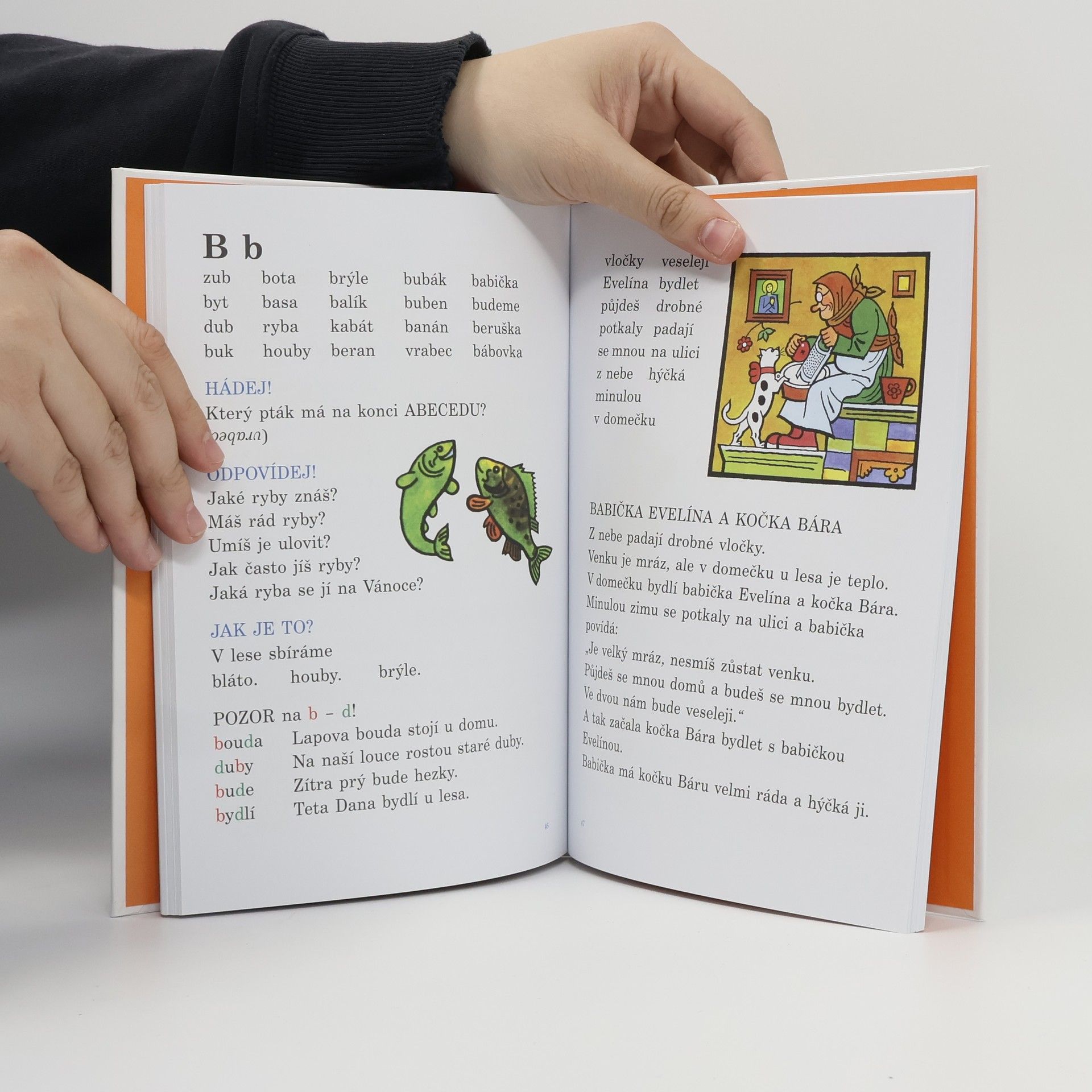 Hana Kneblová Učíme se číst s Josefem Ladou