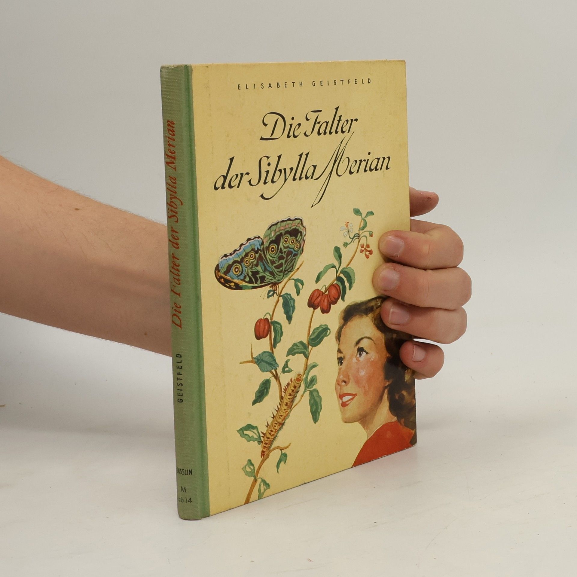 Elisabeth Geistfeld Die Falter der Sibylla Merian