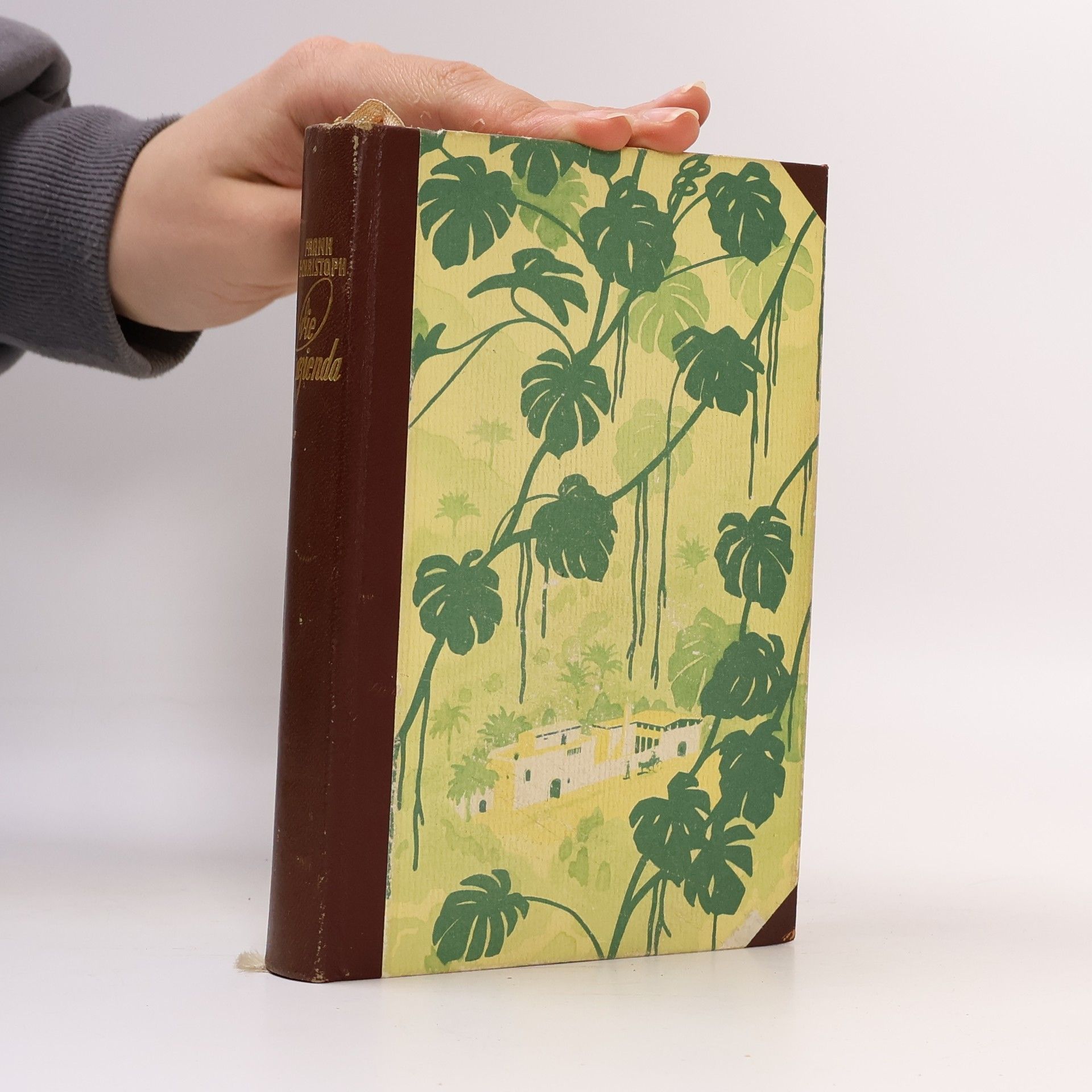 Frank E. Christoph Die Hazienda