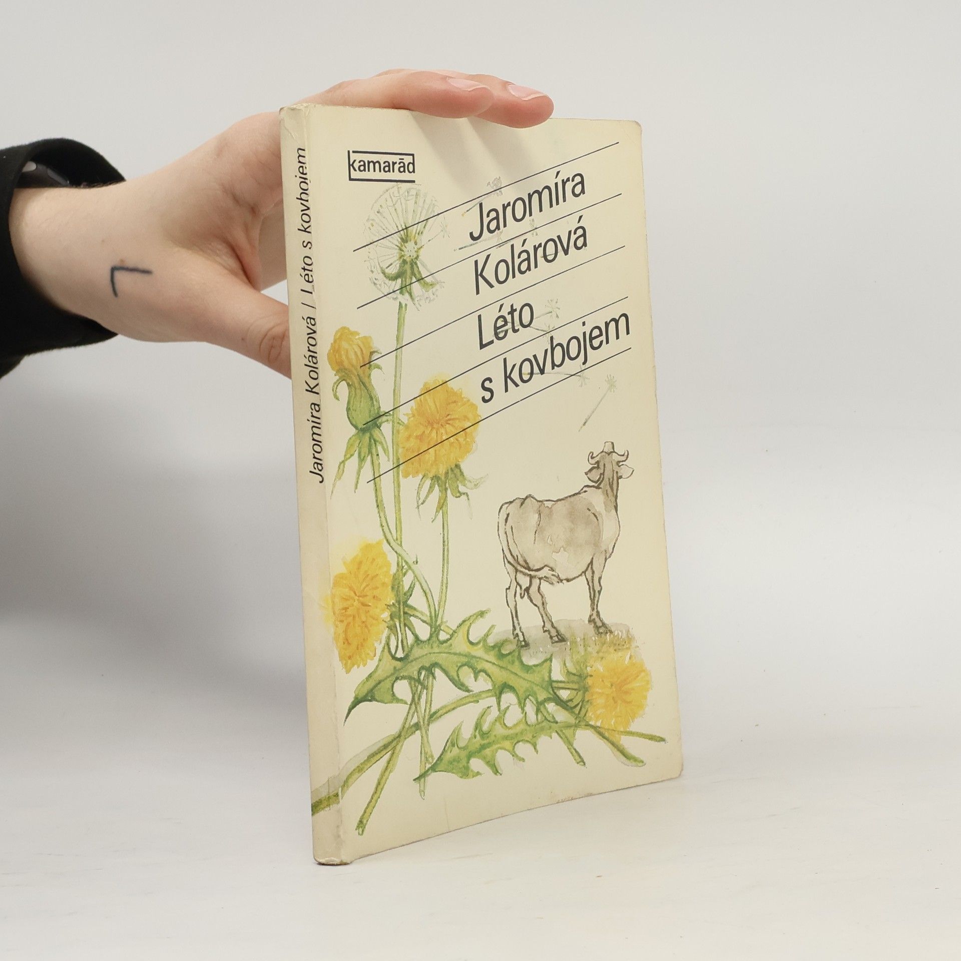 Jaromíra Kolárová Léto s kovbojem