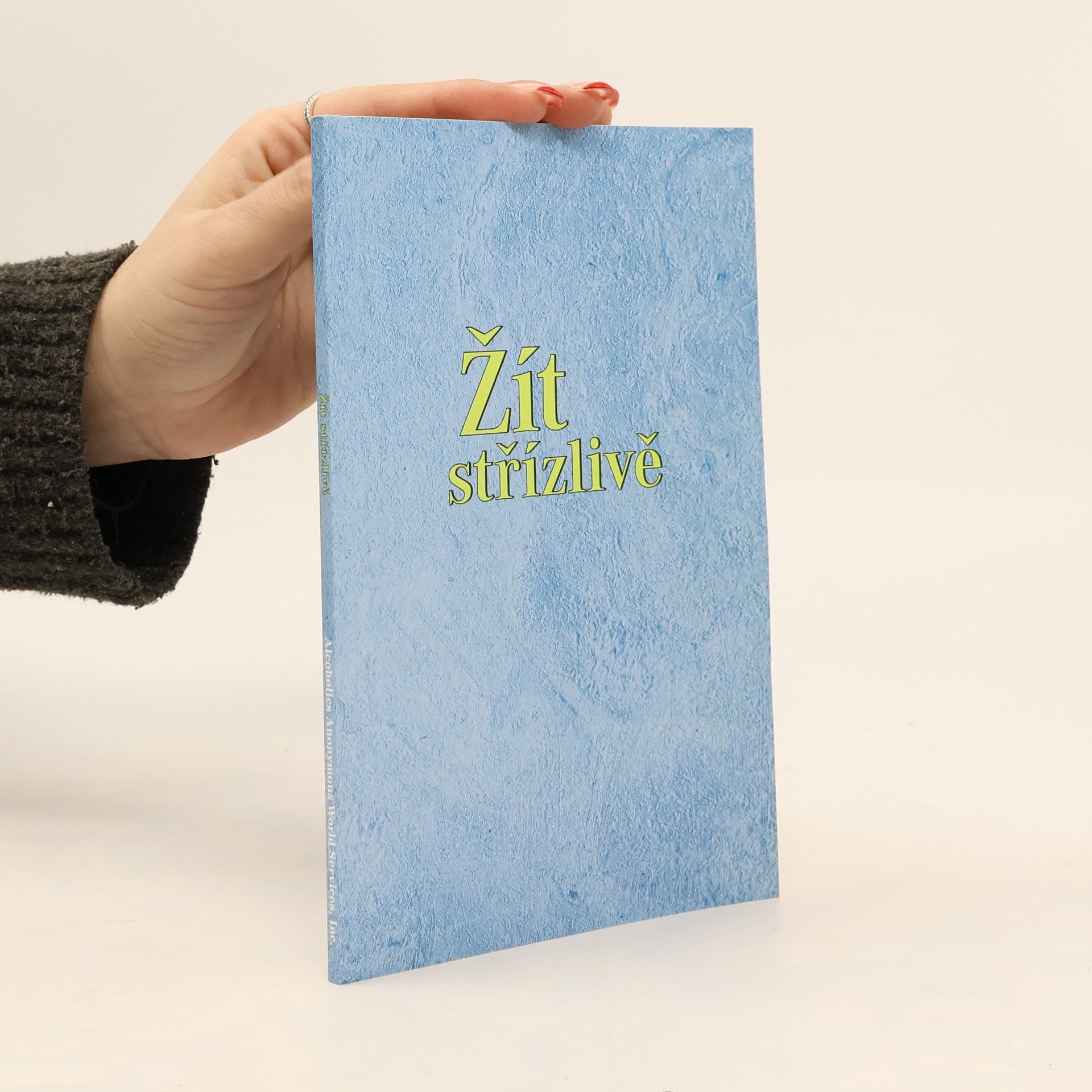 Autorenkollektiv Living Sober