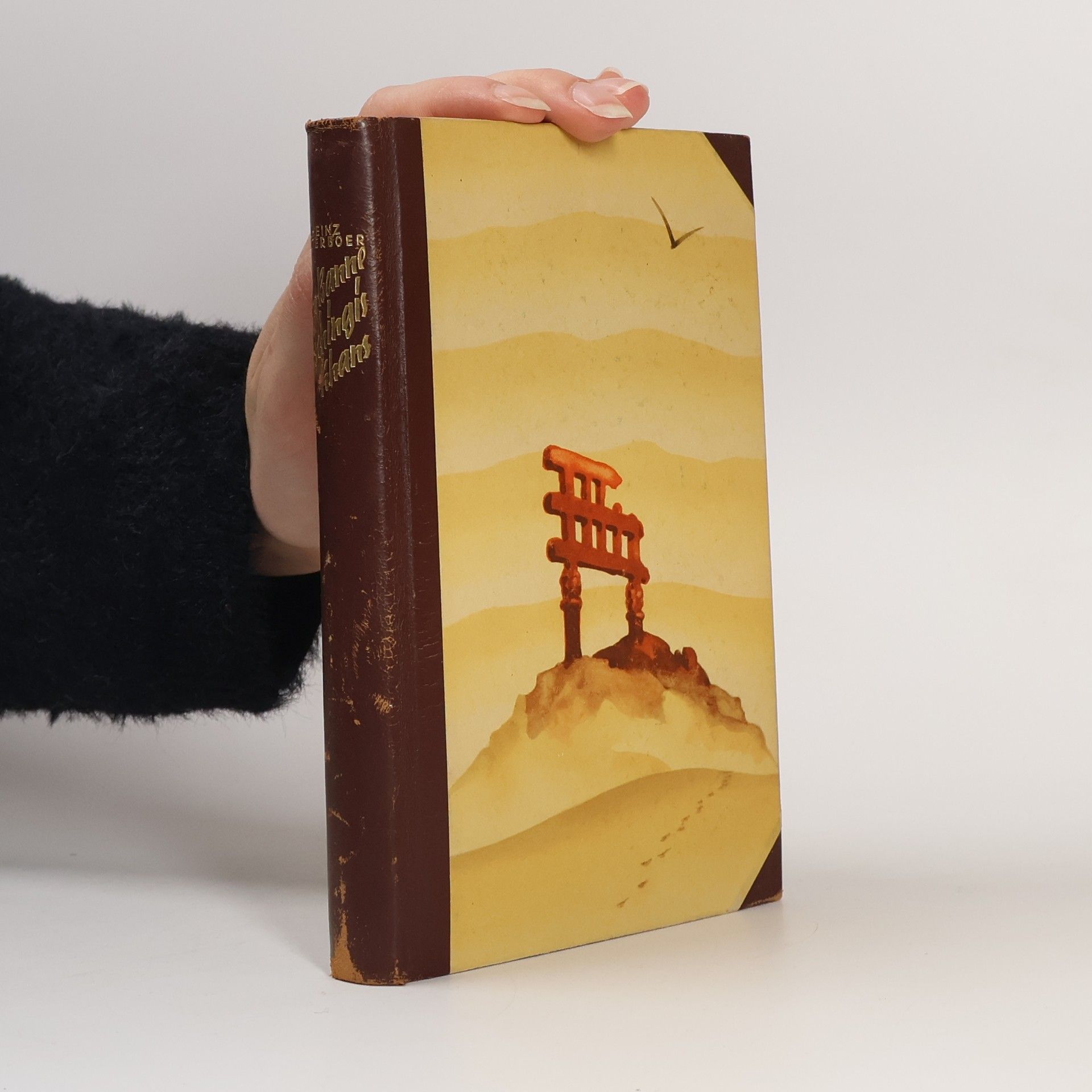 Heinz Waterboer Im Banne Dschings-Khans