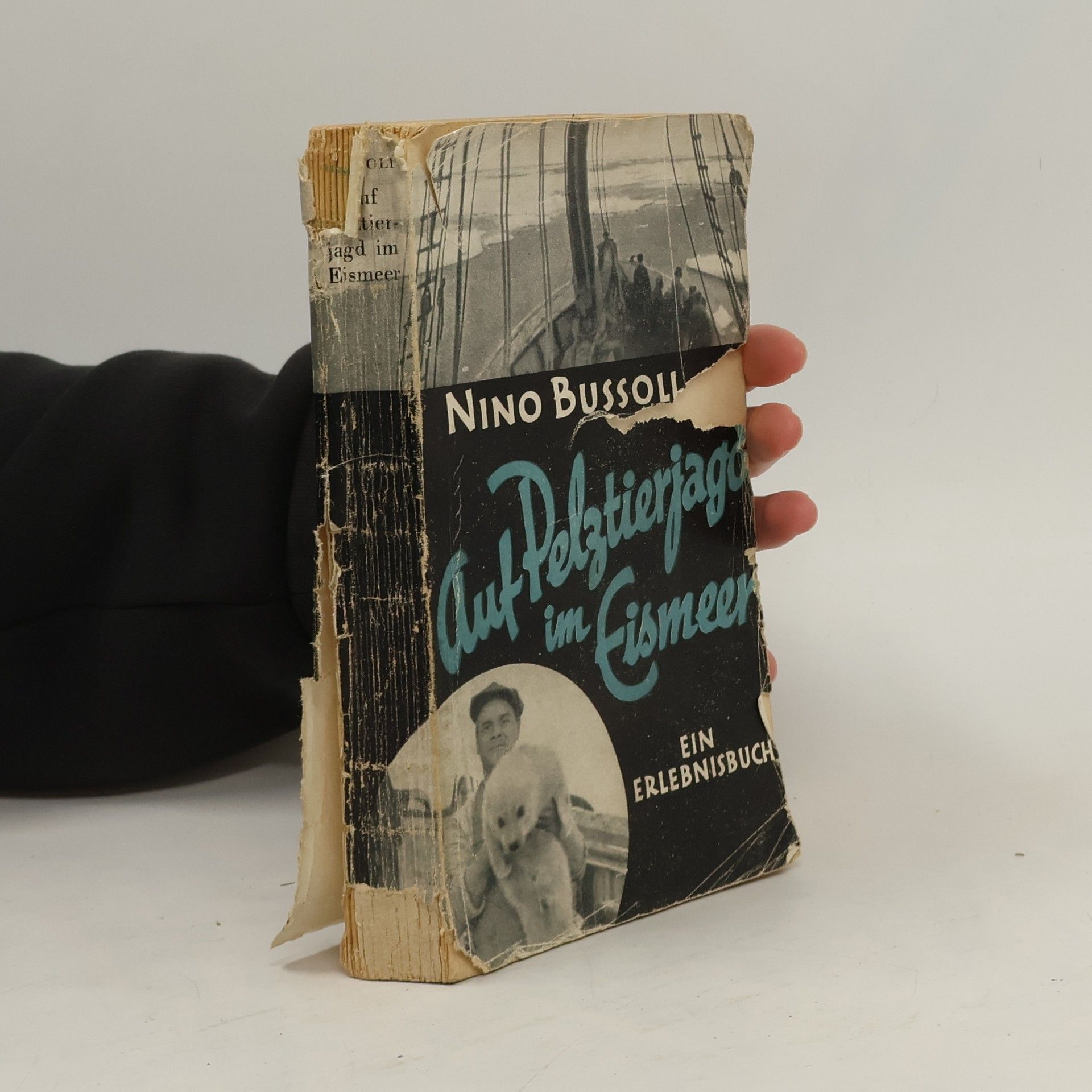 Auf Pelztierjagd im Eismeer