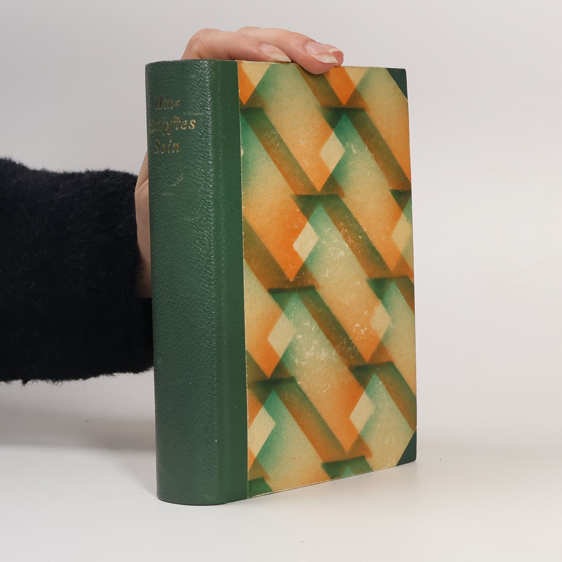 Autorenkollektiv Umkämpftes Sein