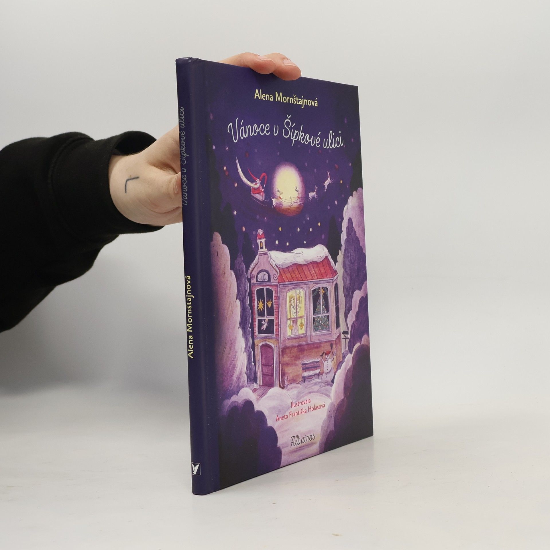 Alena Mornštajnová Vánoce v Šípkové ulici