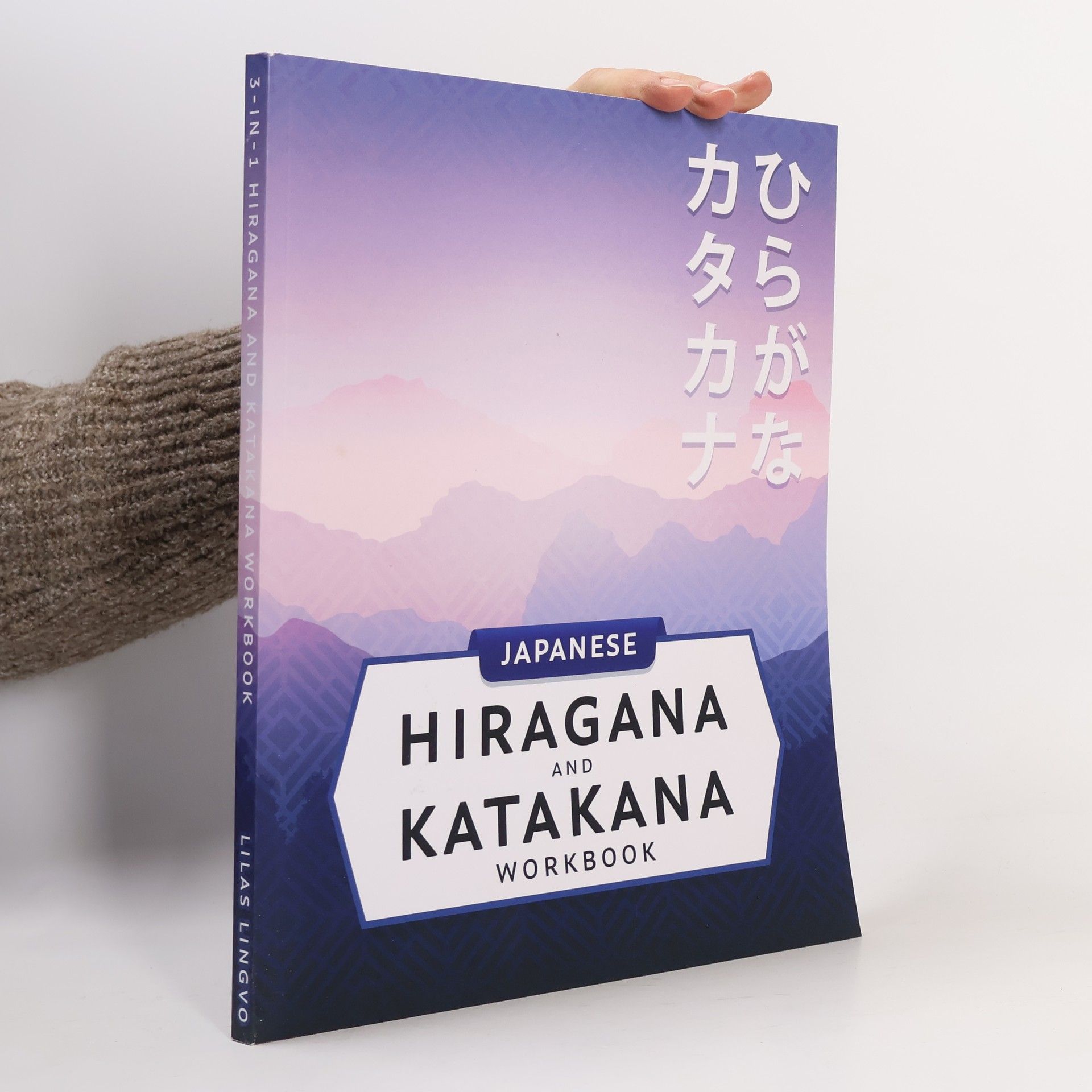Autorenkollektiv 3-in-1 Hiragana and Katakana Workbook