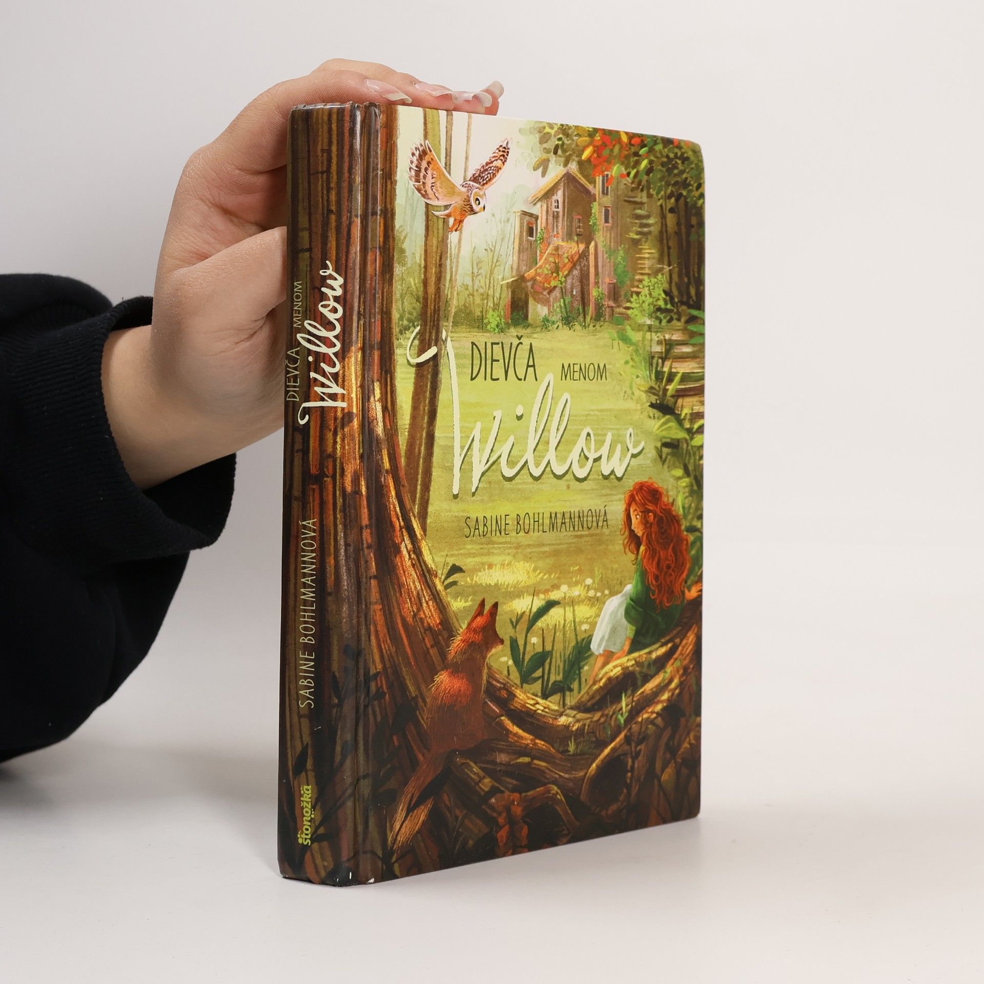 Sabine Bohlmann Dievča menom Willow