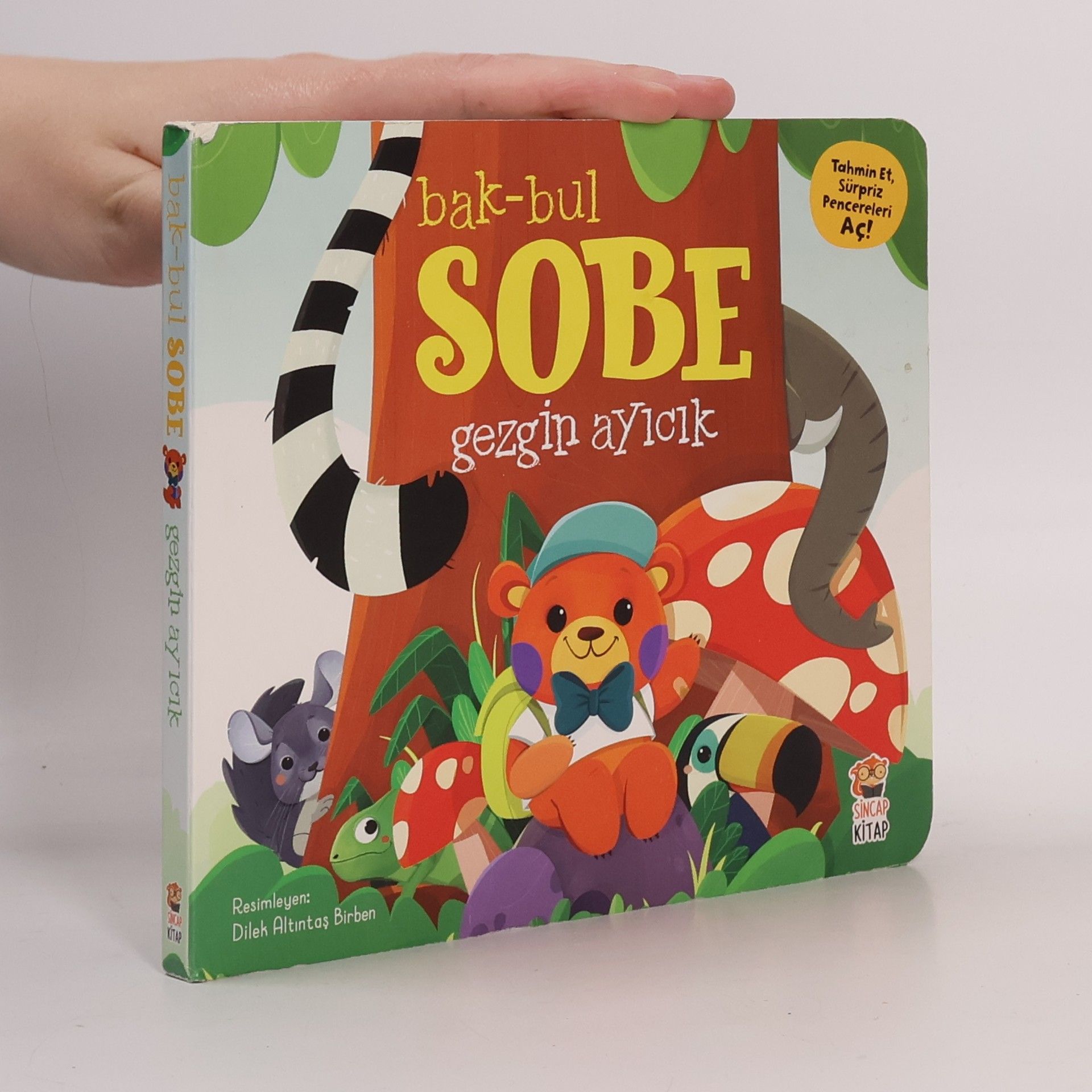 Dilek Altıntaş Birben Bak-Bul Sobe Gezgin Ayıcık