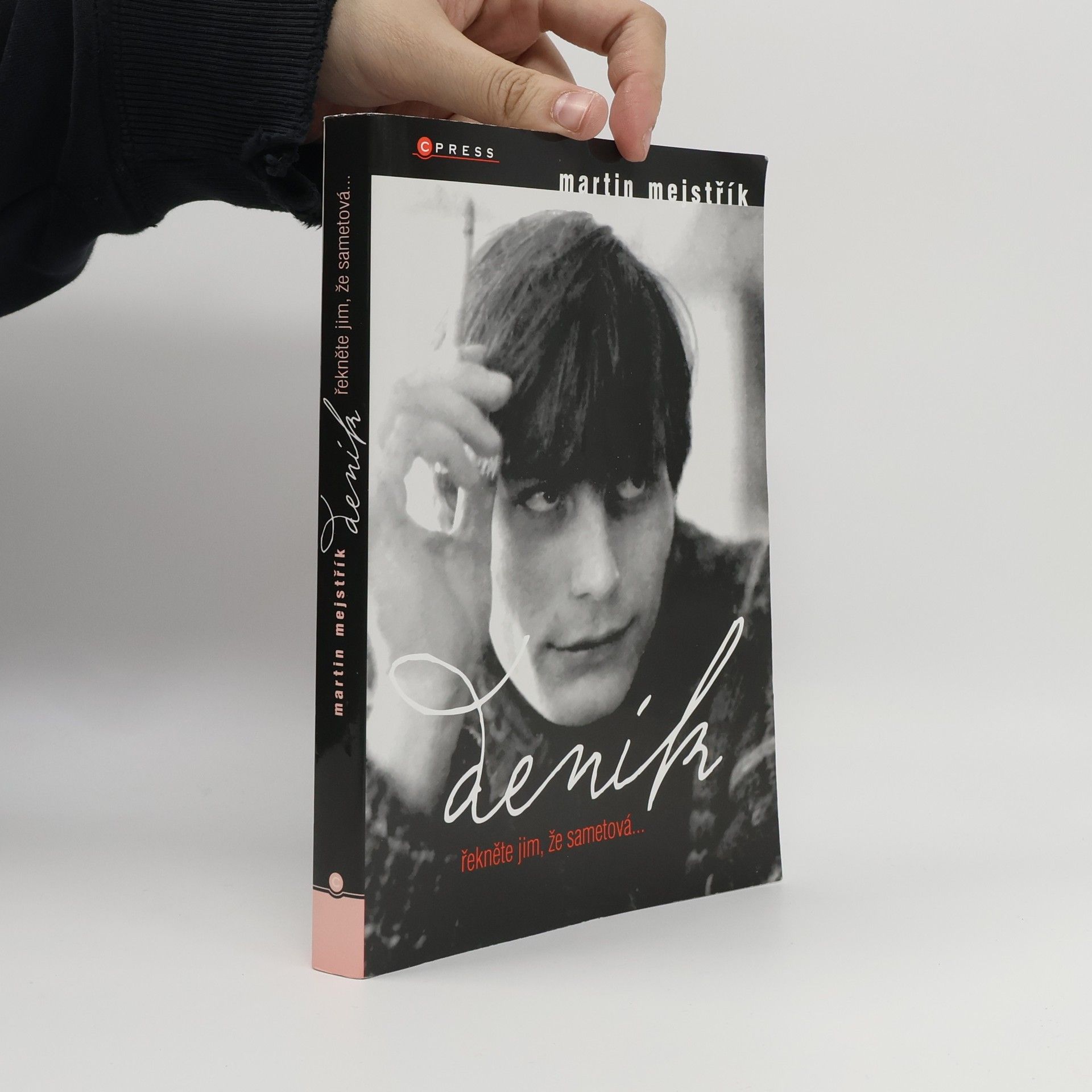 Martin Mejstřík Deník. Řekněte jim, že sametová...