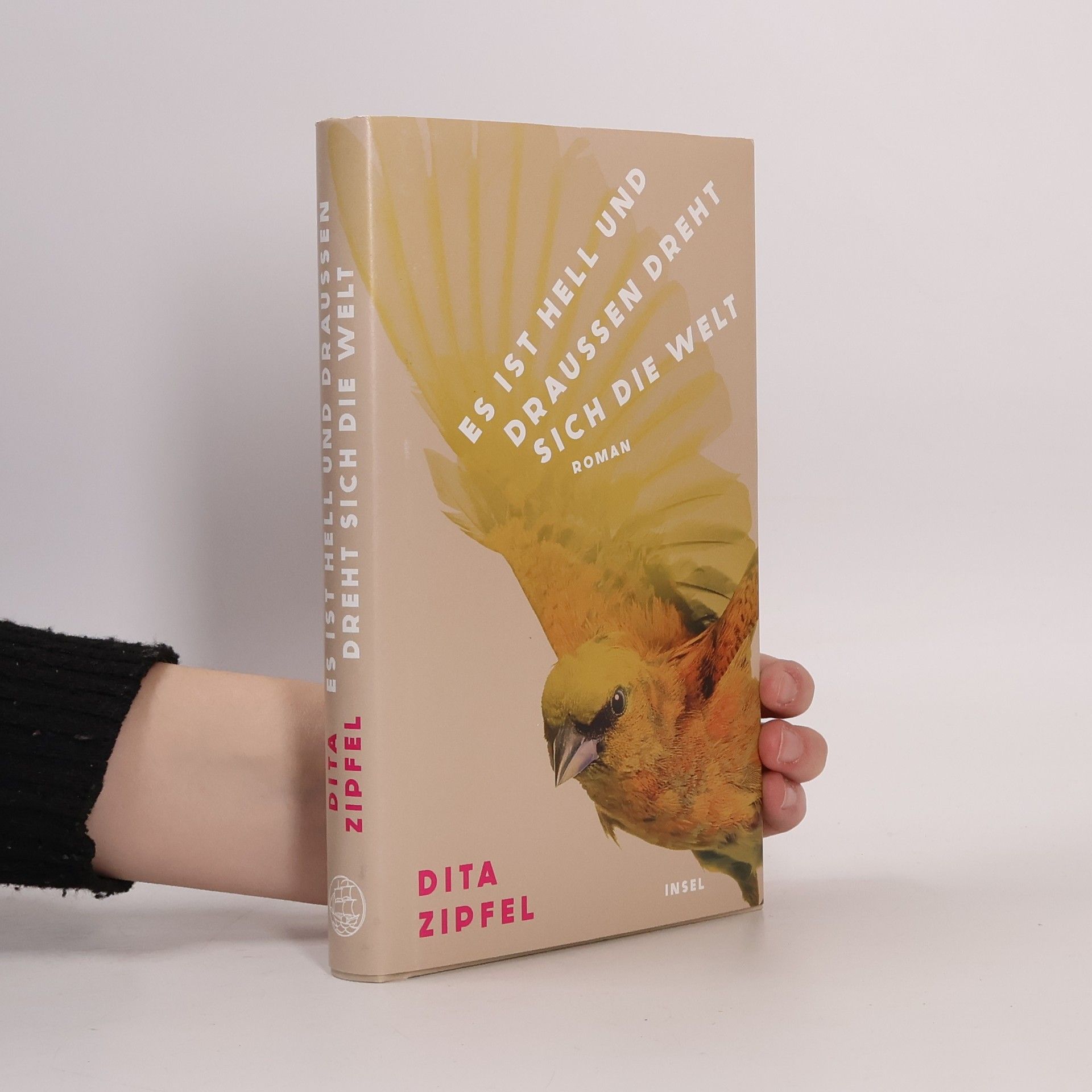 Es ist hell und draußen dreht sich die Welt