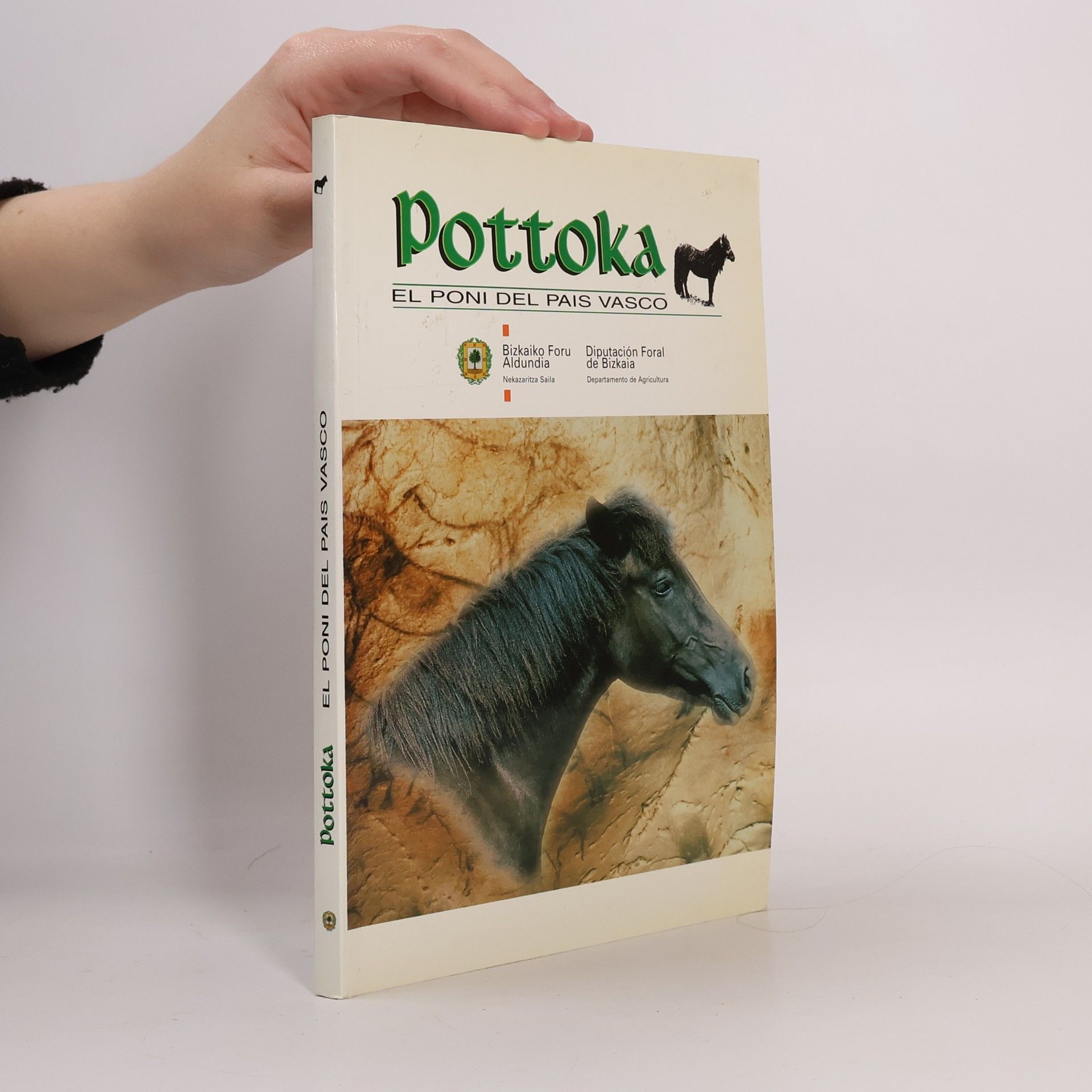 Intxausti Pascual Muro Pottoka. Poni del País Vasco