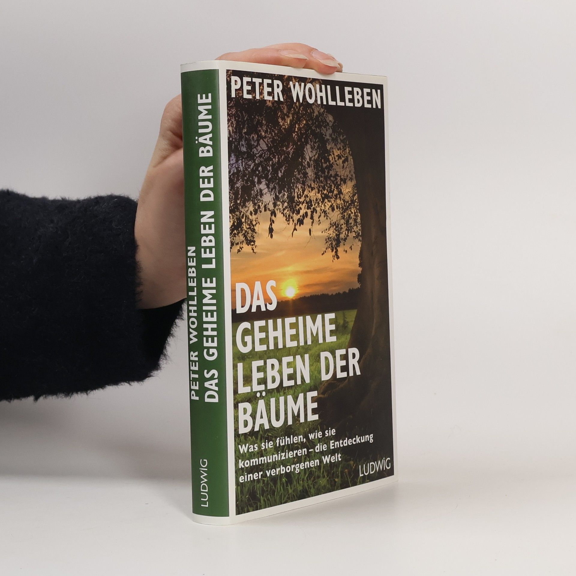 Das geheime Leben der Bäume