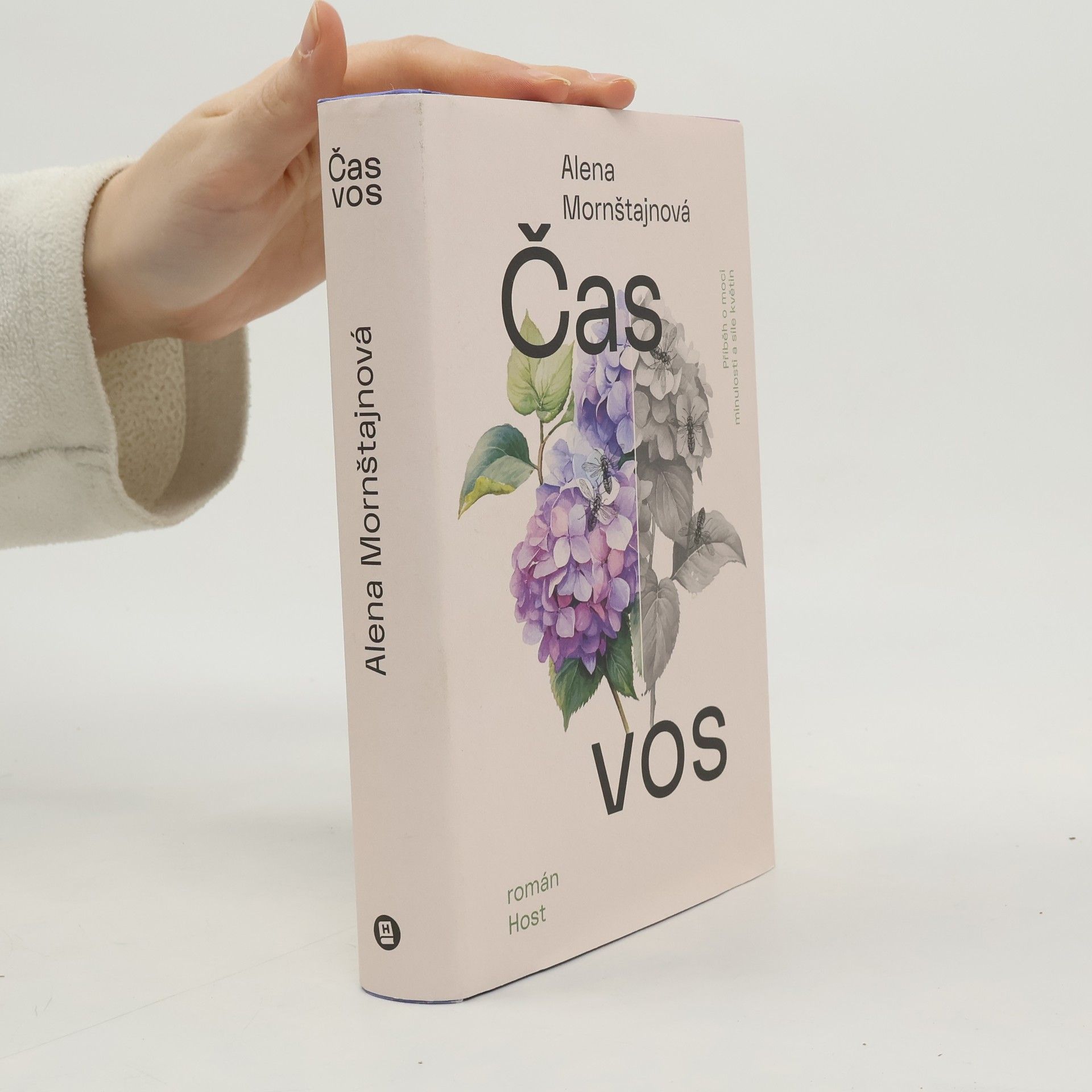 Alena Mornštajnová Čas vos