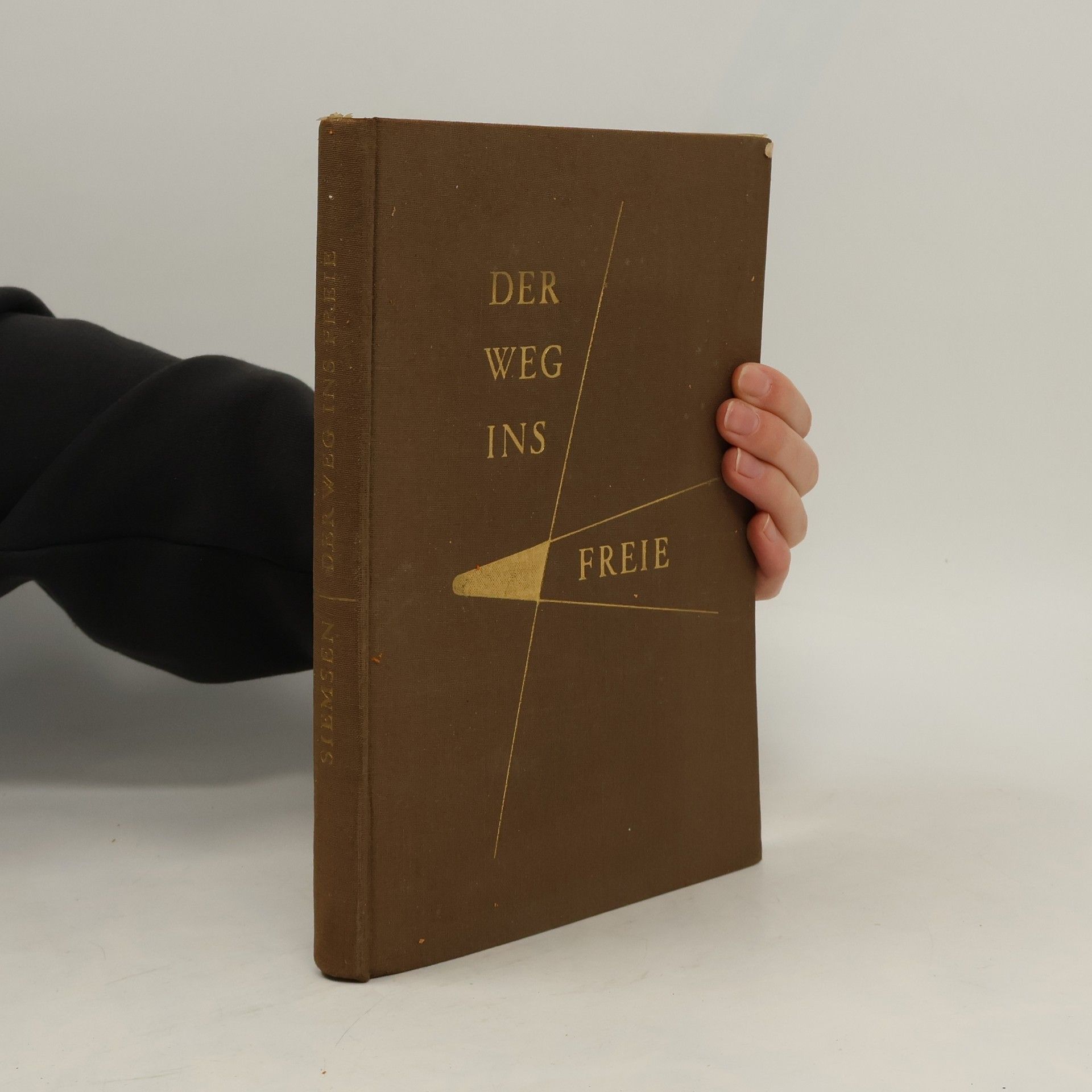 Autores varios Der Weg ins Freie