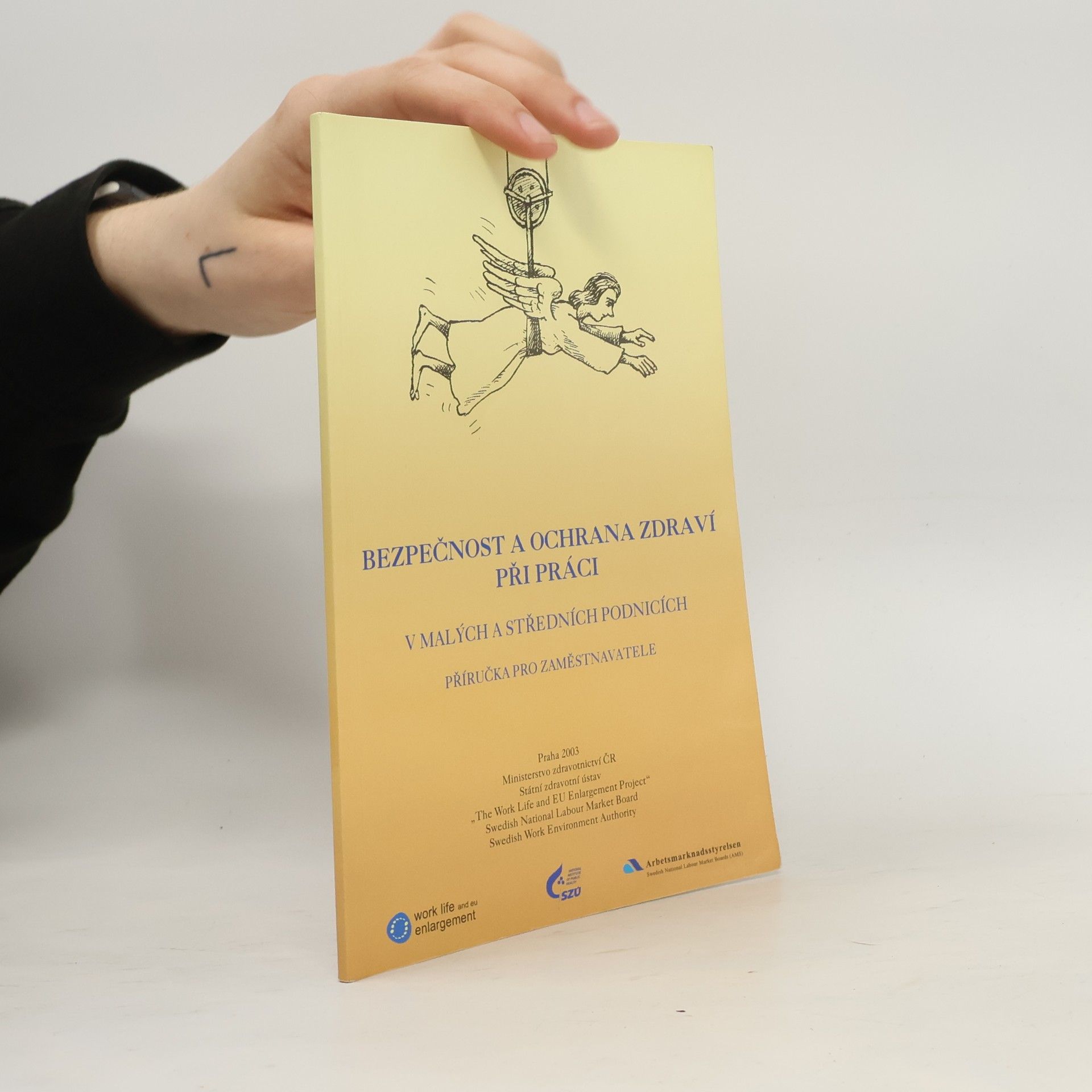 Various authors Bezpečnost a ochrana zdraví při práci v malých a středních podnicích : příručka pro zaměstnavatele