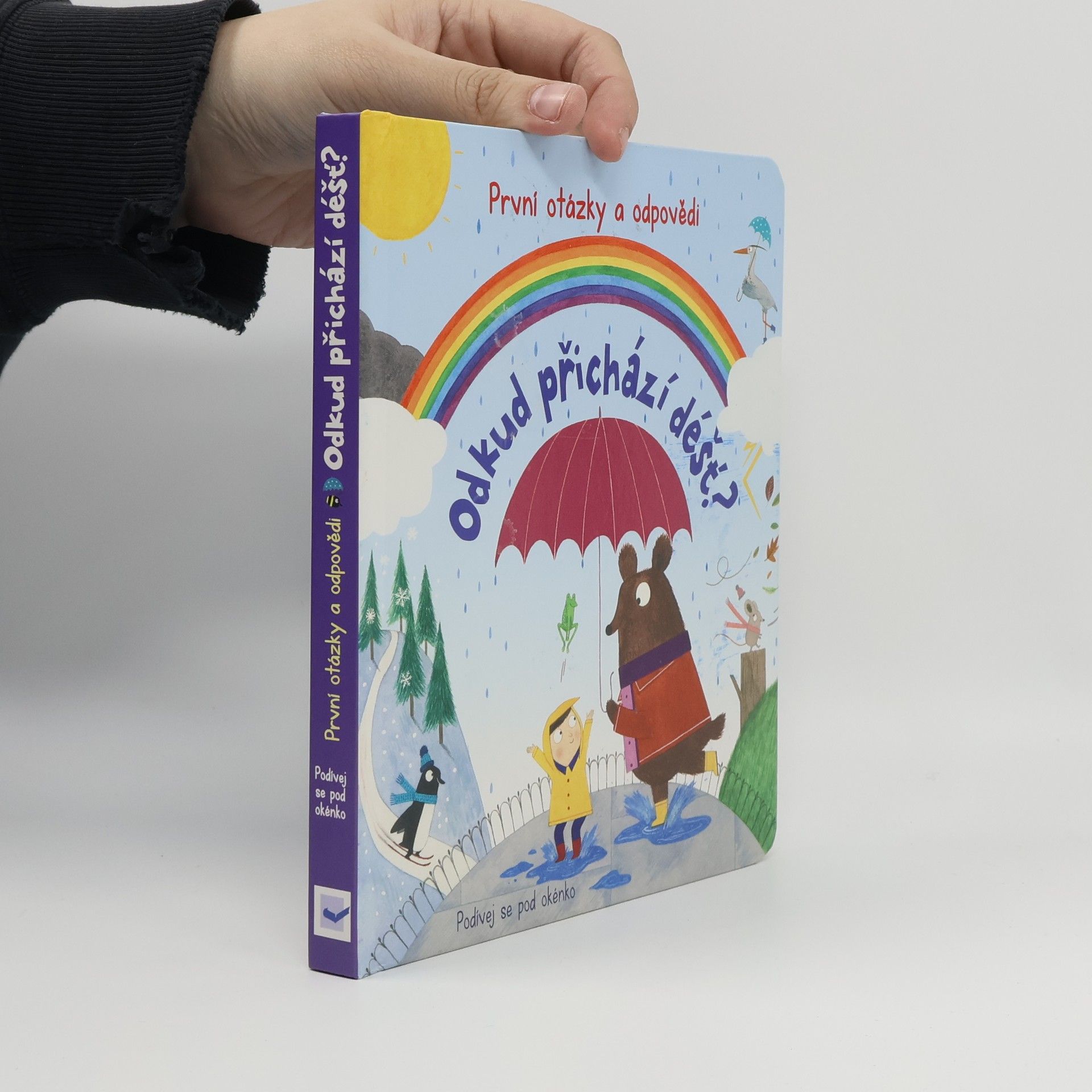 Christine Pym Odkud přichází déšť?