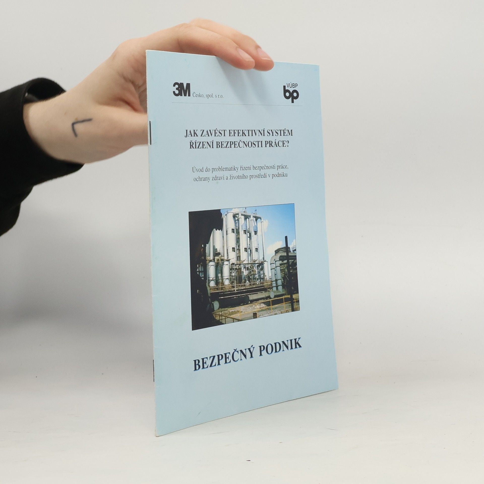 Autorenkollektiv Jak zavést efektivní systém řízení bezpečnosti práce?