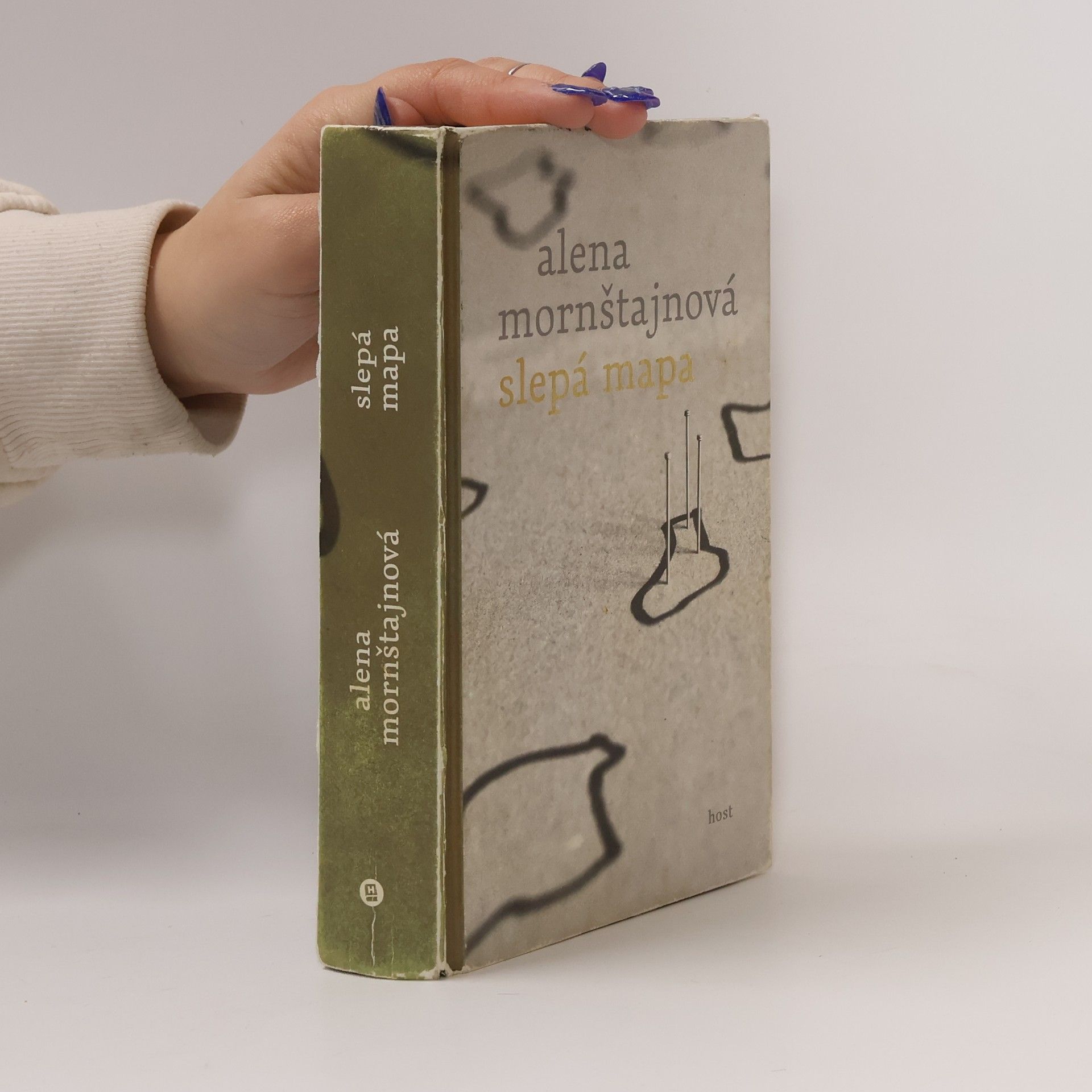 Alena Mornštajnová Slepá mapa