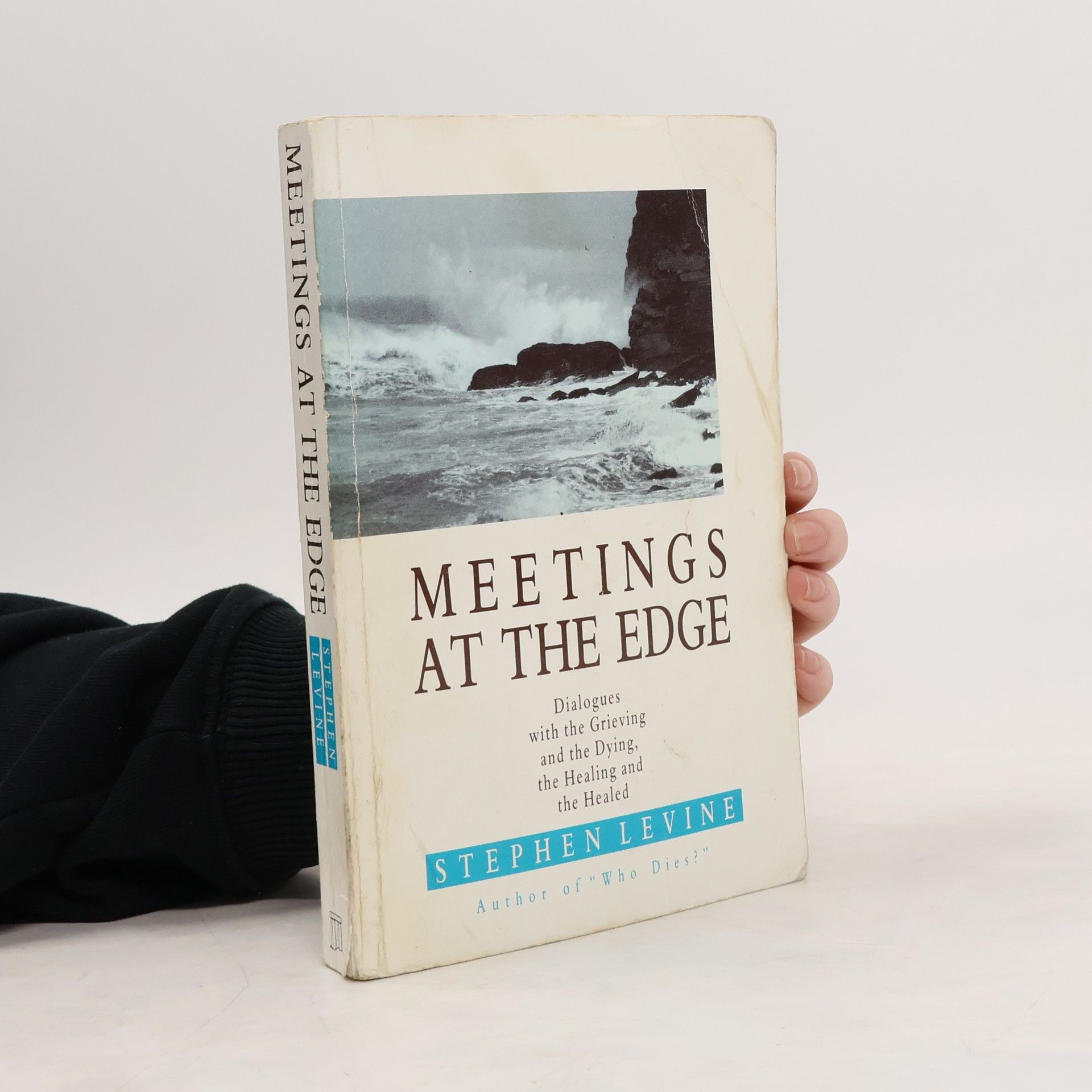 Stephen Levine Meetings at the Edge