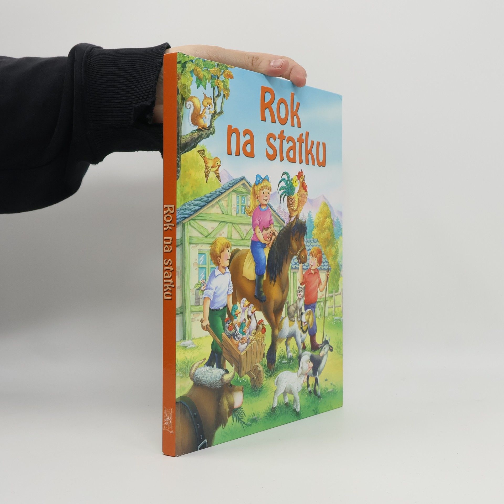 Autores varios Rok na statku