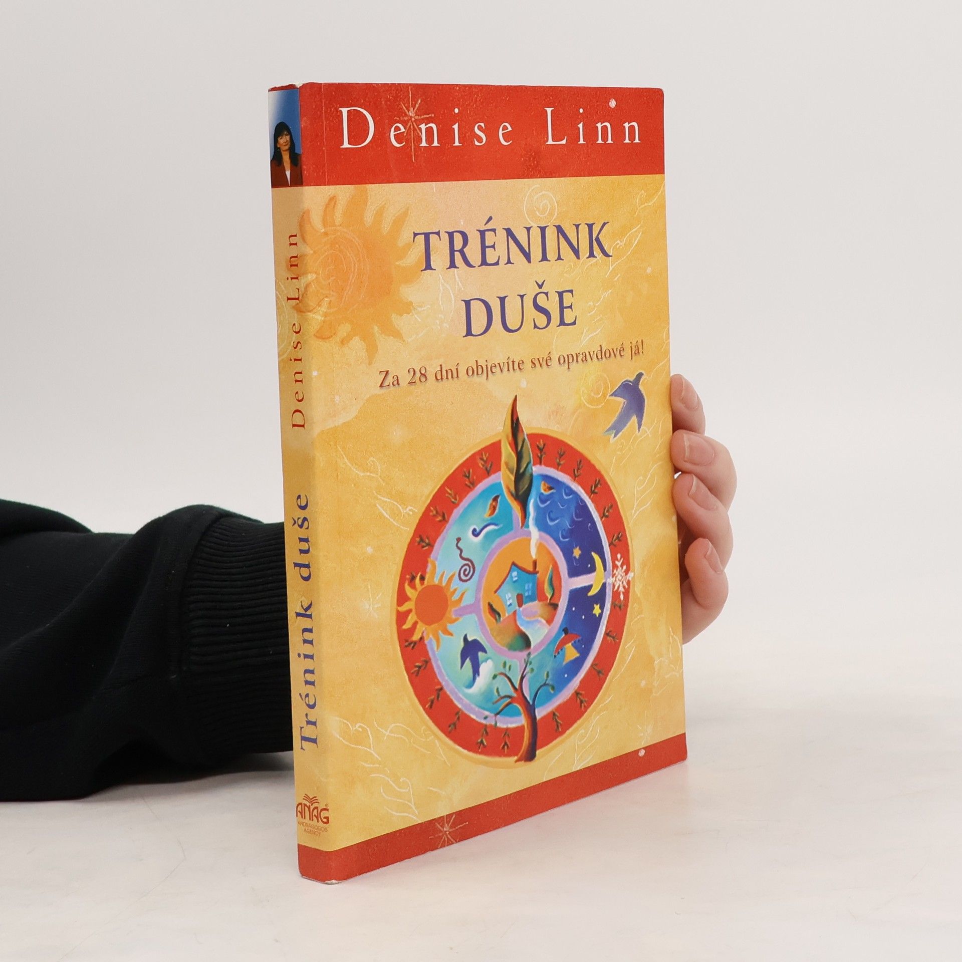 Denise Linn Trénink duše: Za 28 dní objevíte své opravdové já!