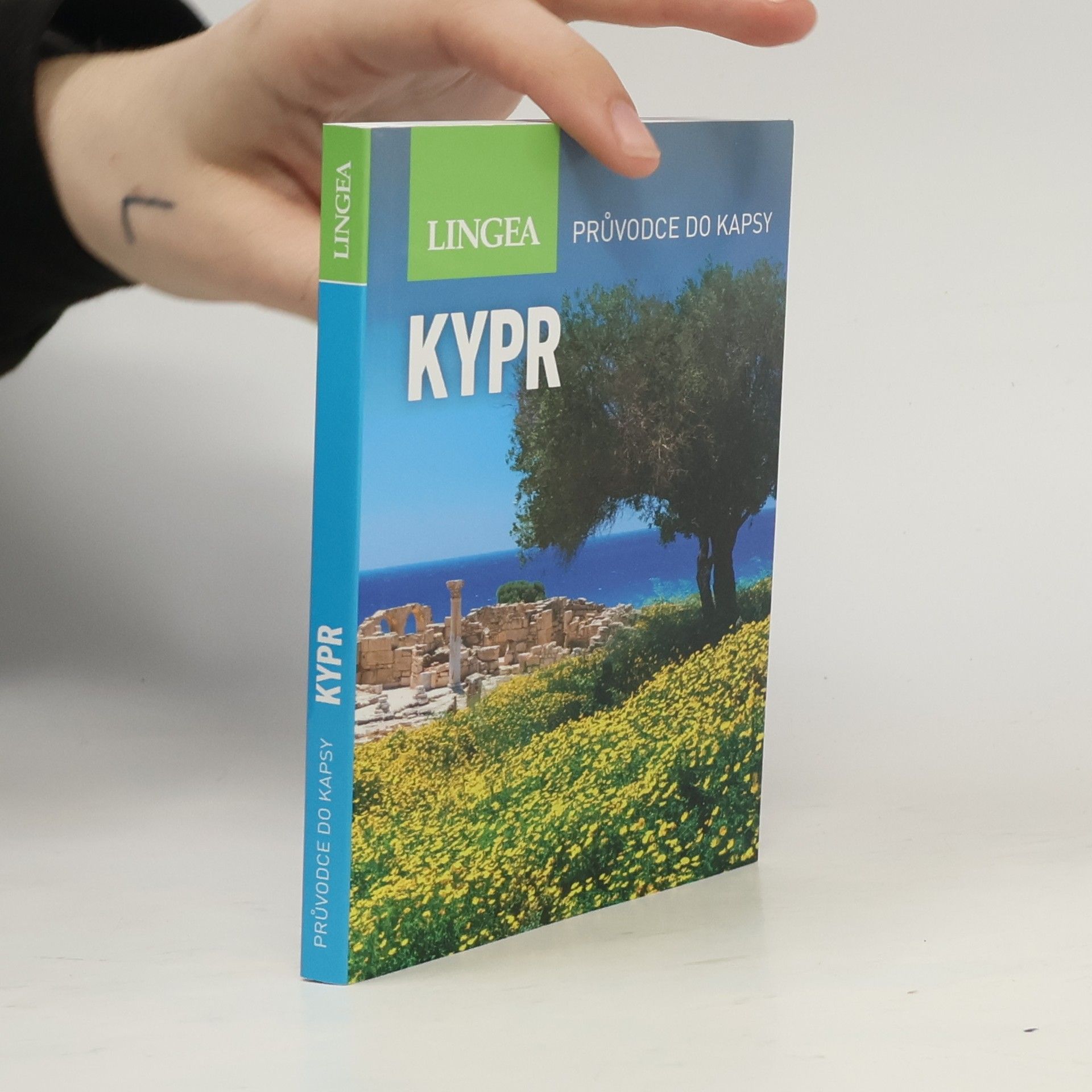 Autorenkollektiv Kypr. Průvodce do kapsy