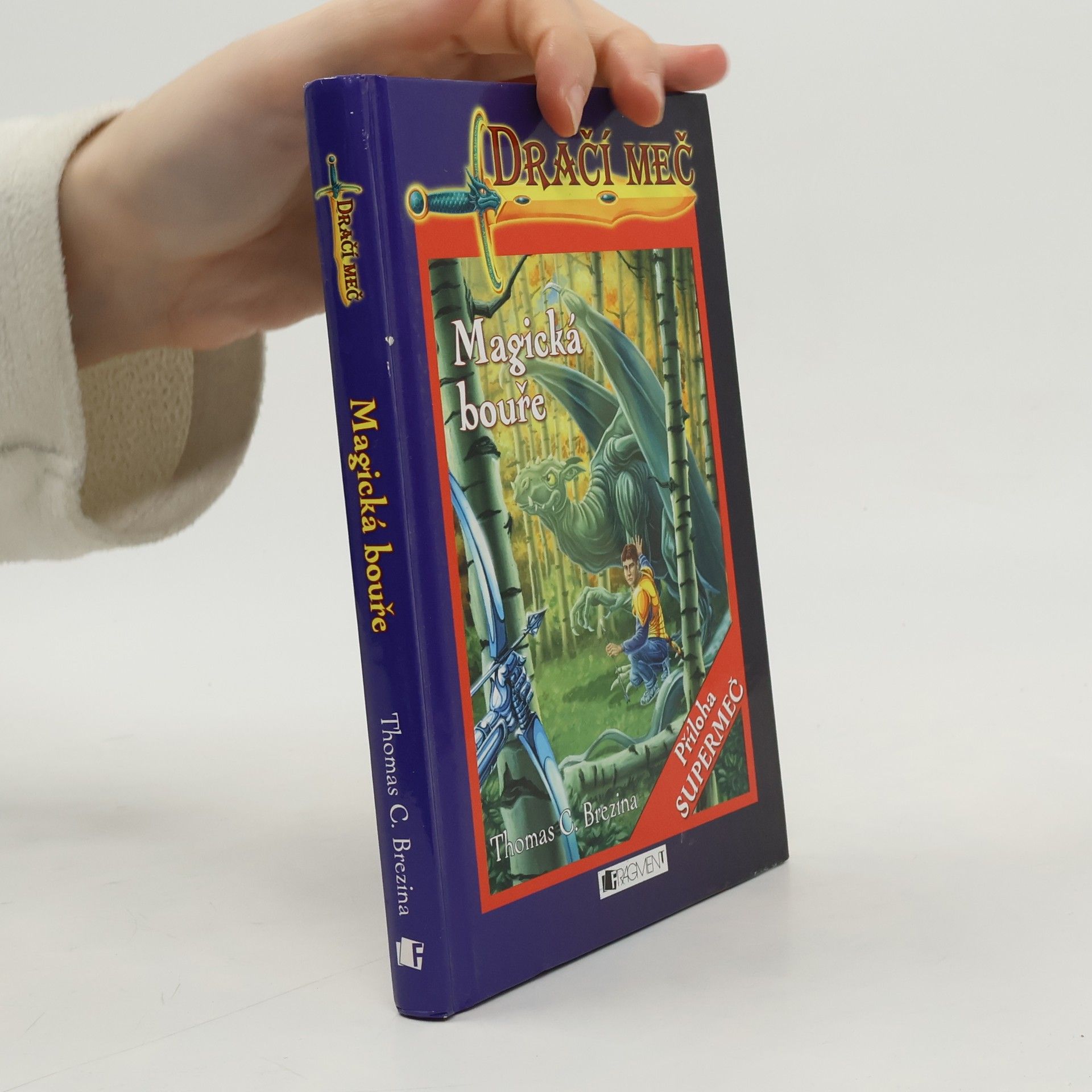 Thomas Brezina Dračí meč. Magická bouře