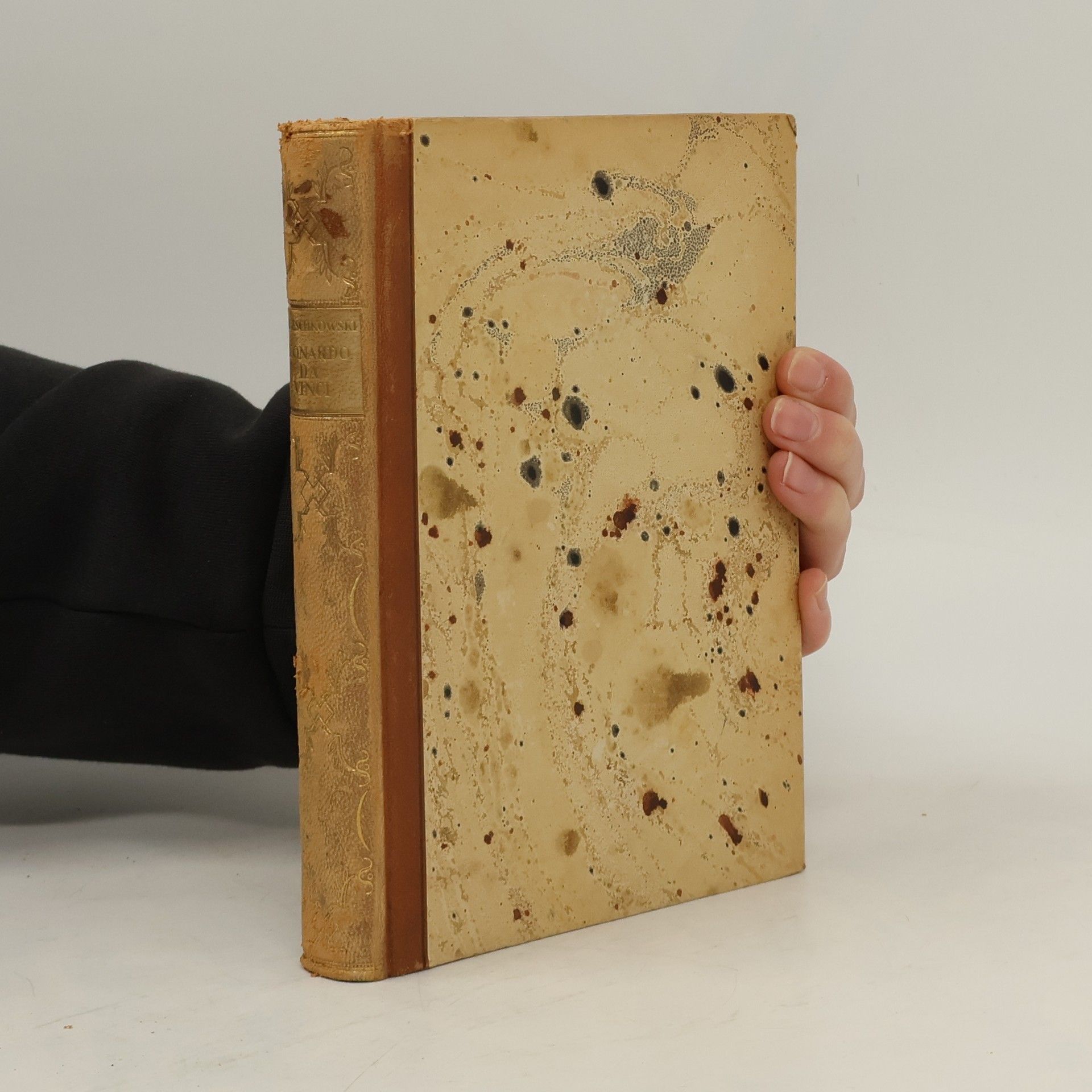 Dmitry Merezhkovsky Leonardo da Vinci. Band 2