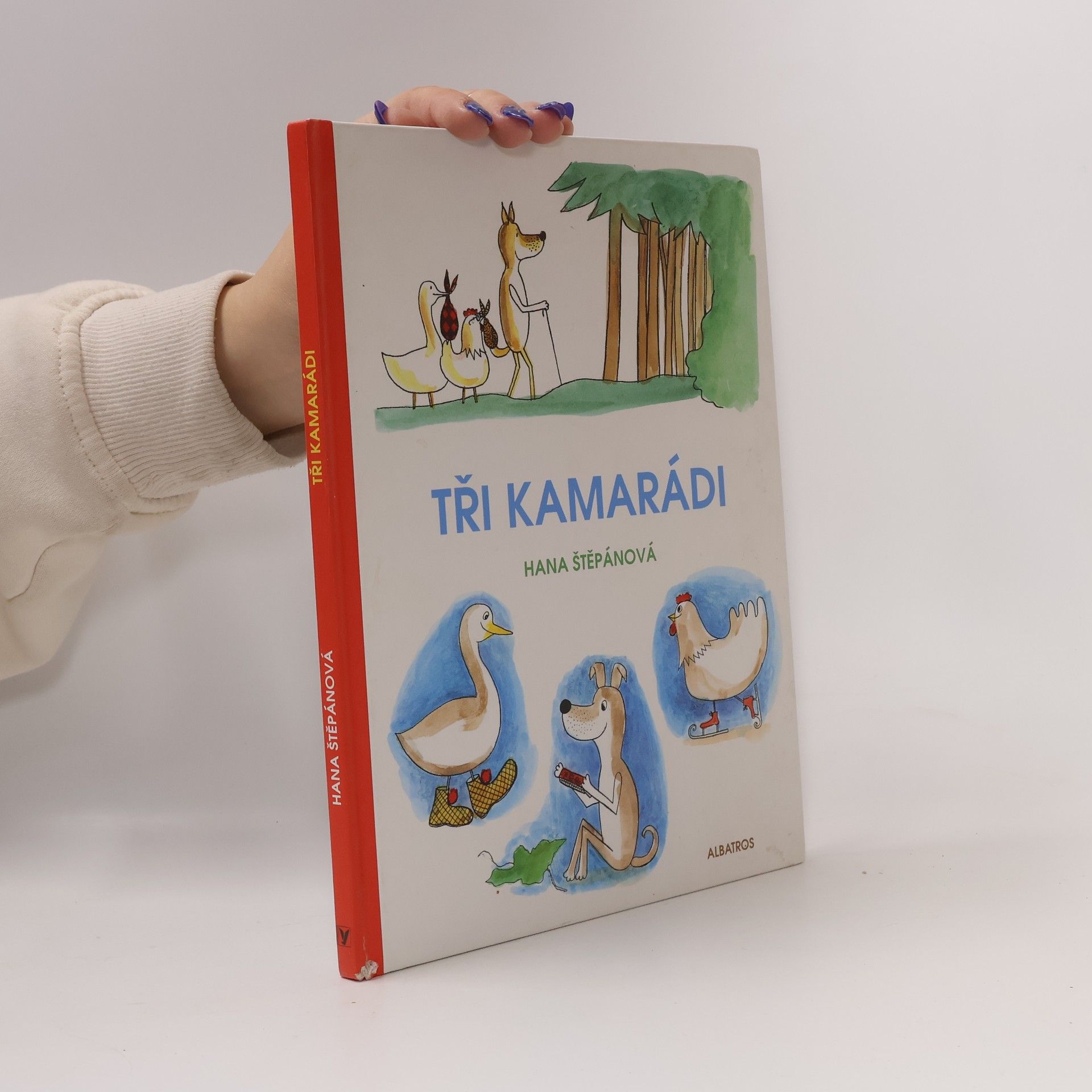 Hana Stepan Tři kamarádi