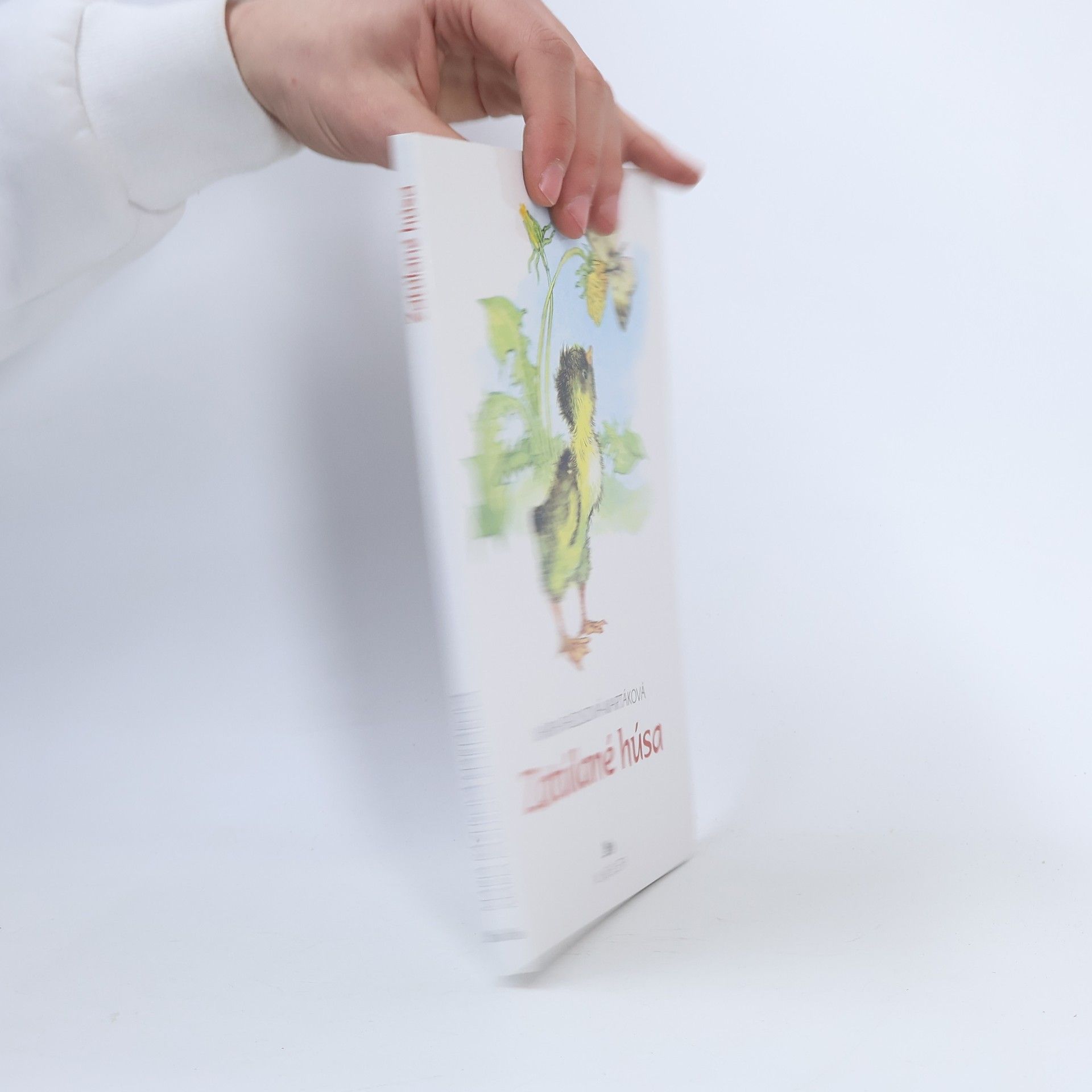 Mária Rázusová Martáková Zatúlané húsa