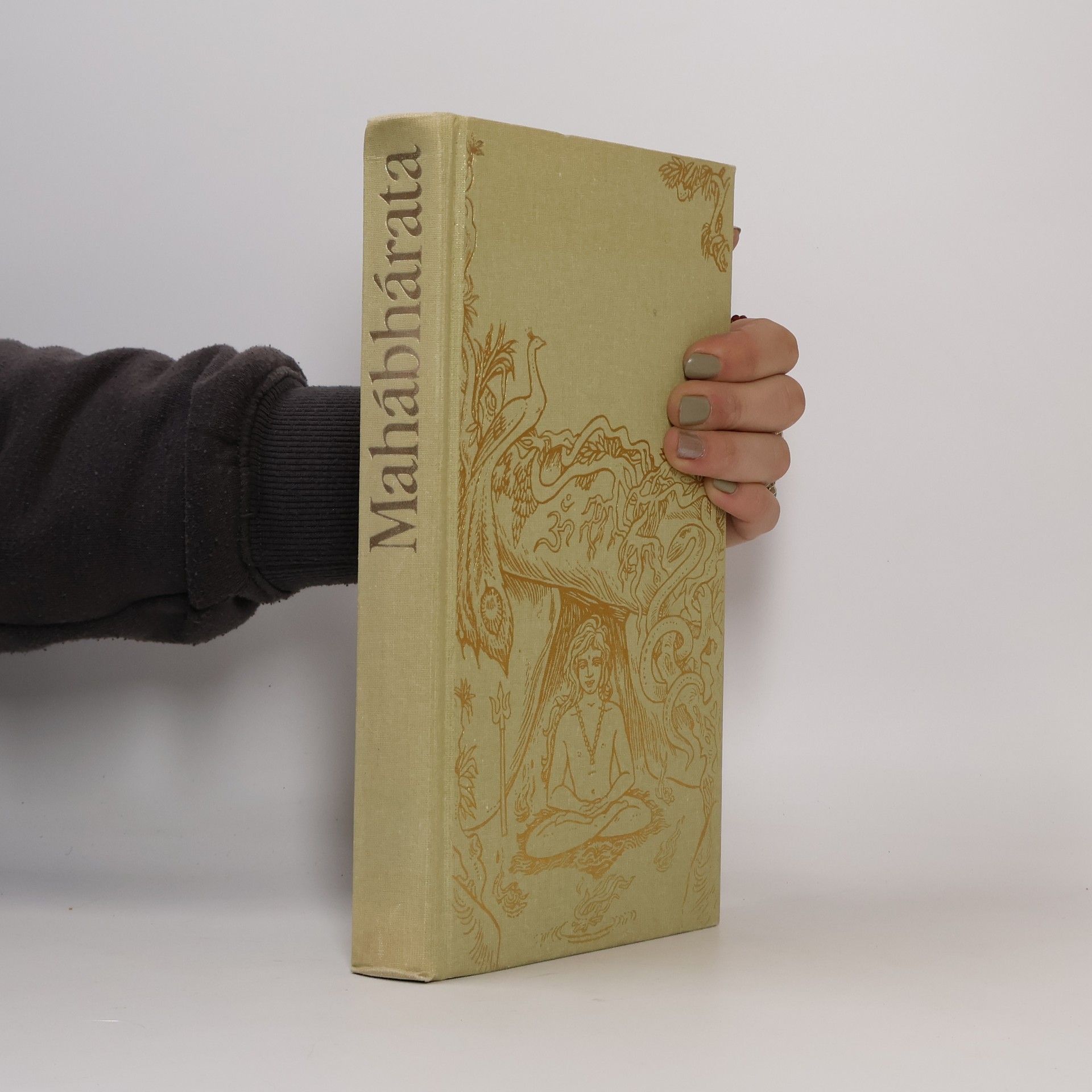 Jaromír Skřivánek Mahábhárata aneb Velký boj