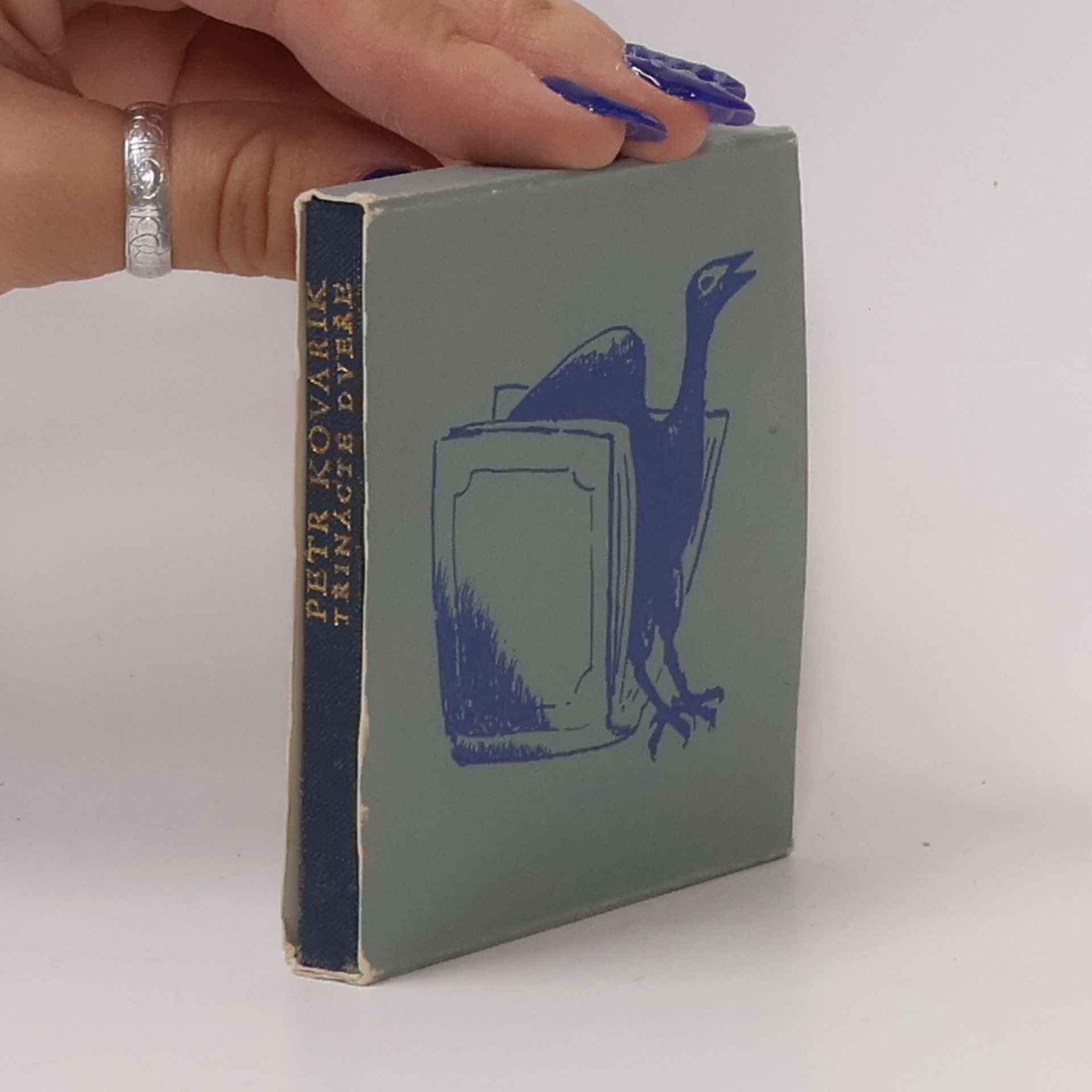 Petr Kovařík Třinácté dveře