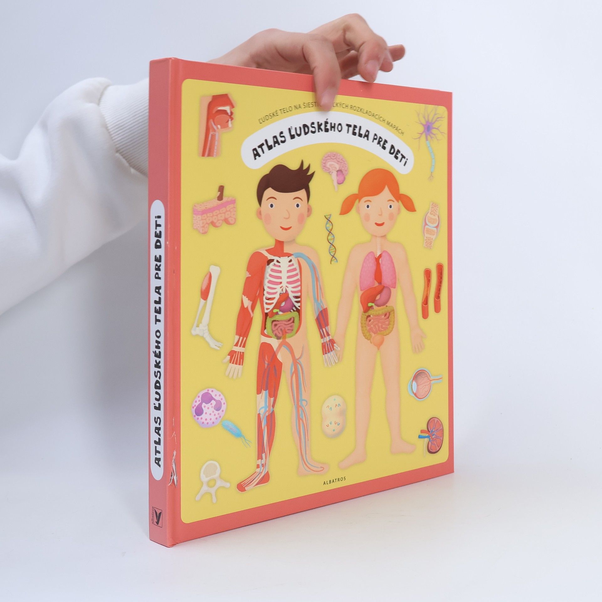 Oldřich Růžička Atlas ľudského tela pre deti : ľudské telo na šiestich veľkých rozkladacích mapách