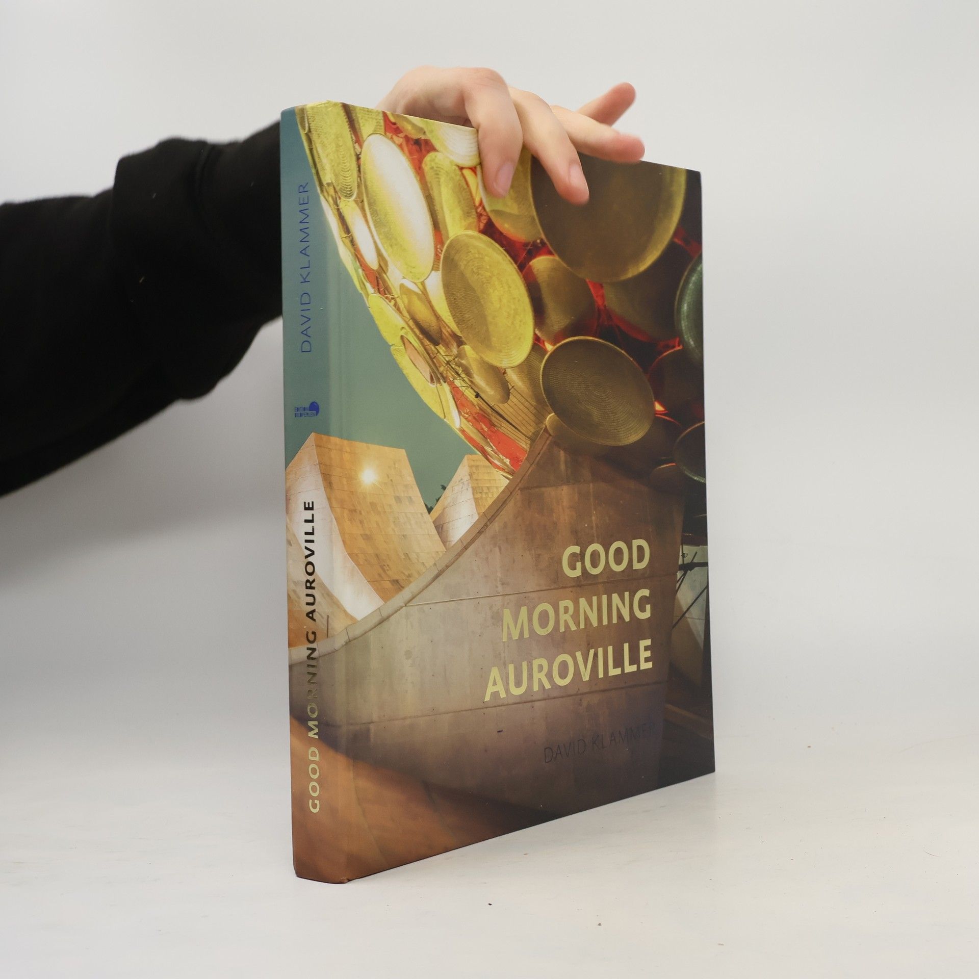 David Klammer Good Morning Auroville