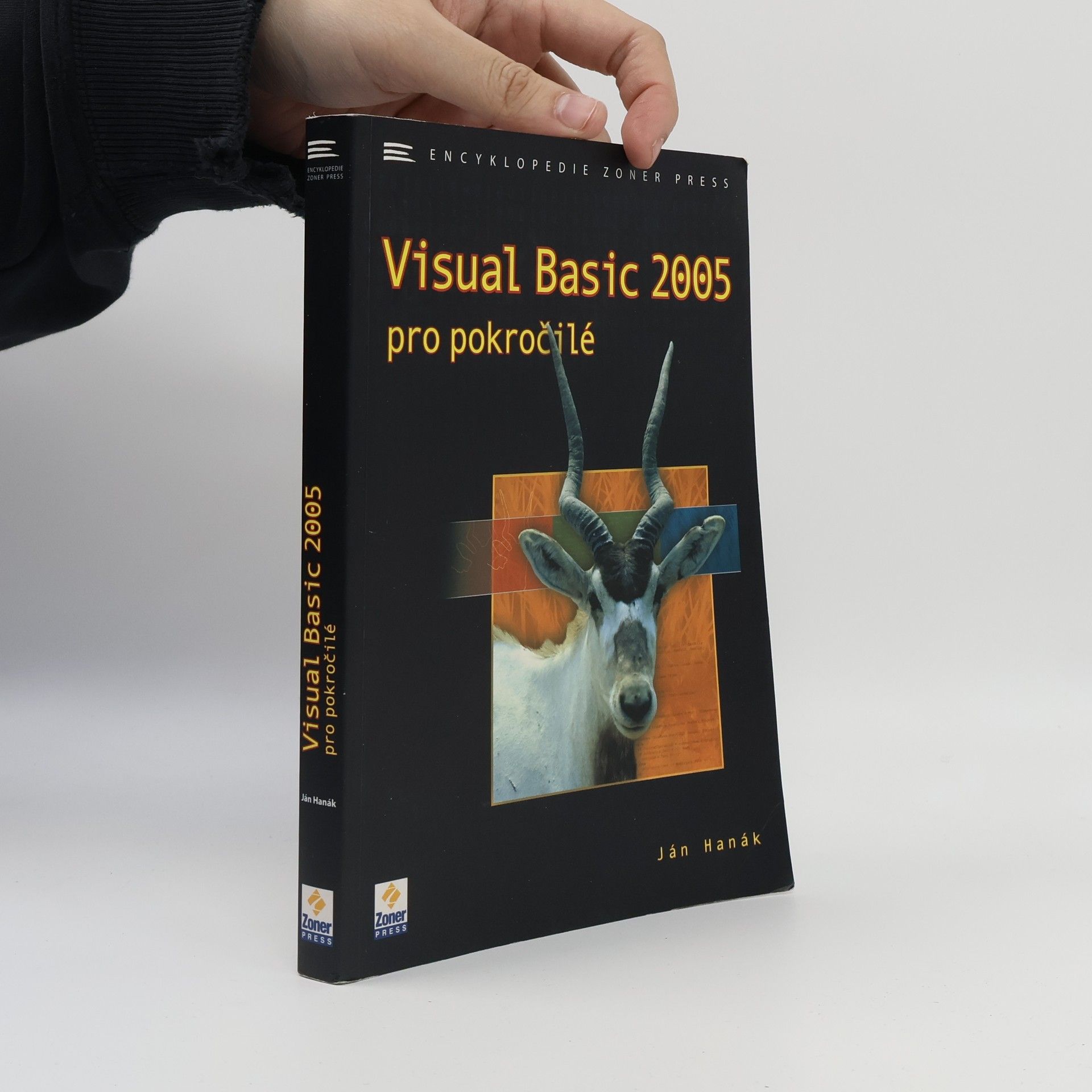 Visual Basic 2005 pro pokročilé