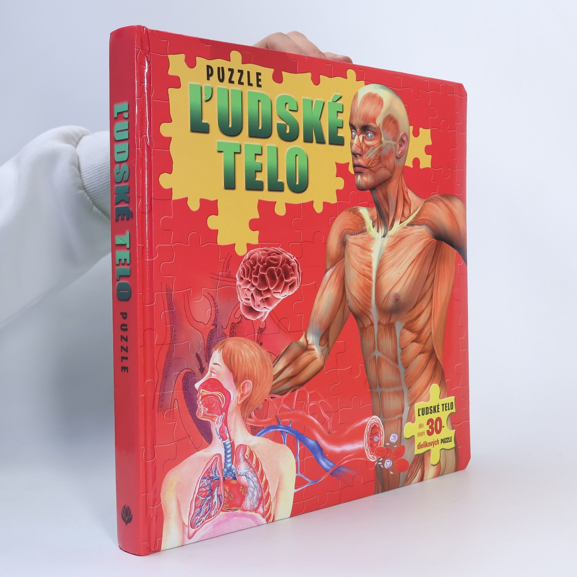 Michaela Hajduková Ľudské telo - puzzle