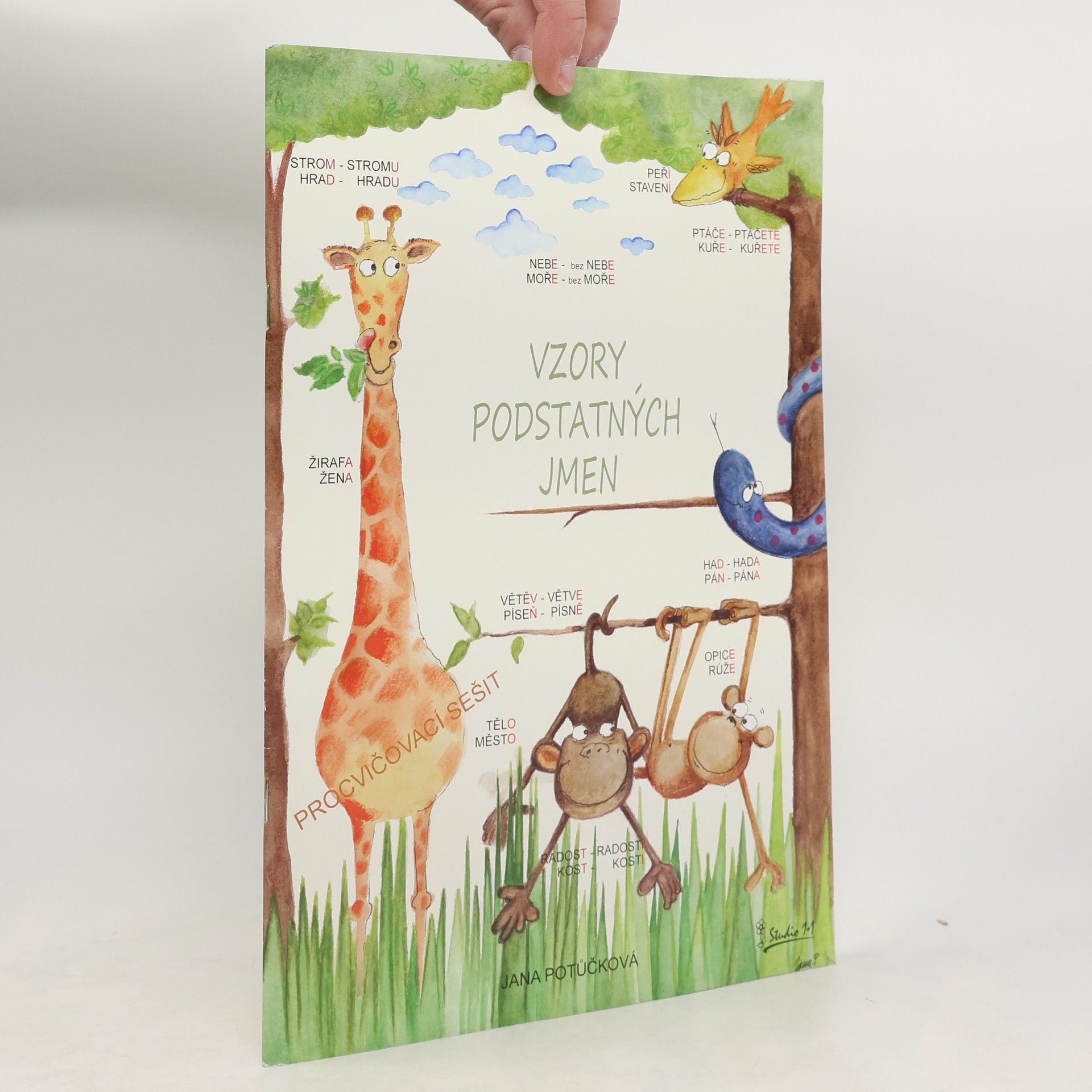 Jana Potůčková Vzory podstatných jmen - Procvičovací sešit z ČJ pro 4. ročník ZŠ