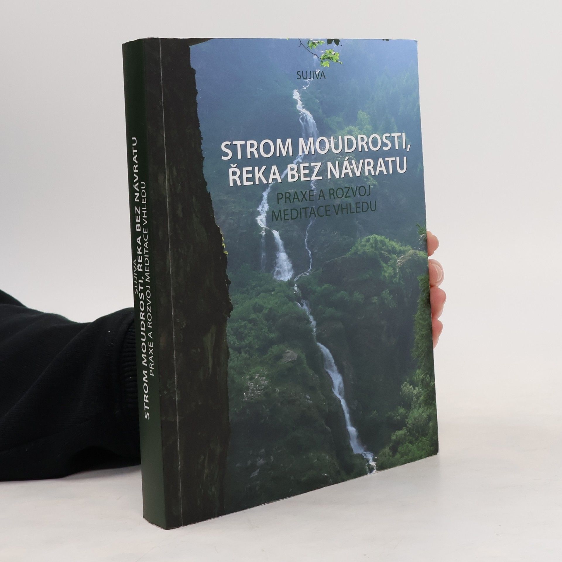 Auteurscollectief Strom moudrosti, řeka bez návratu