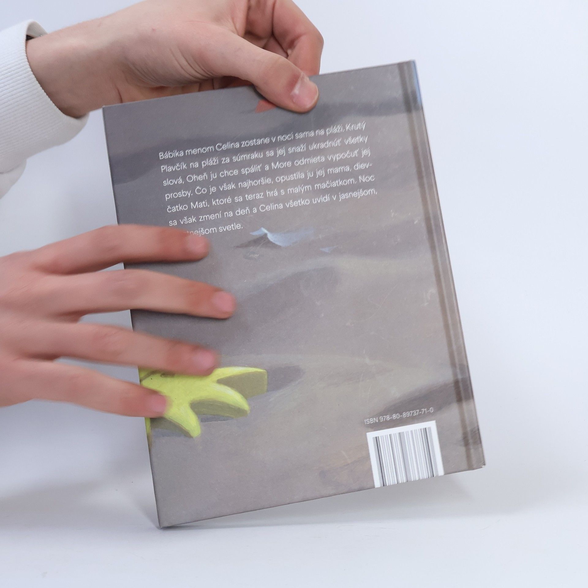 Elena Ferrante Pláž v noci