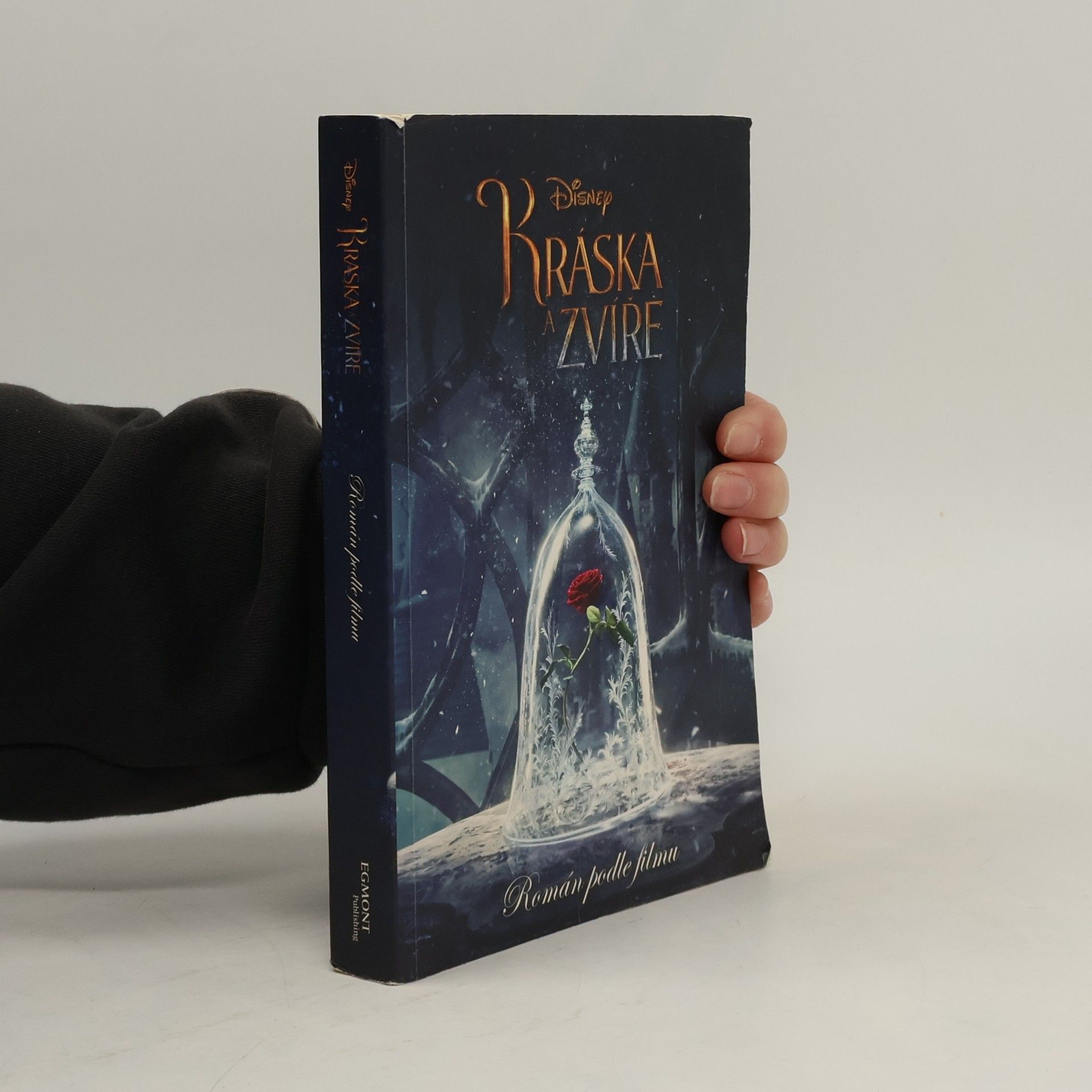 Elizabeth Rudnick Kráska a Zvíře