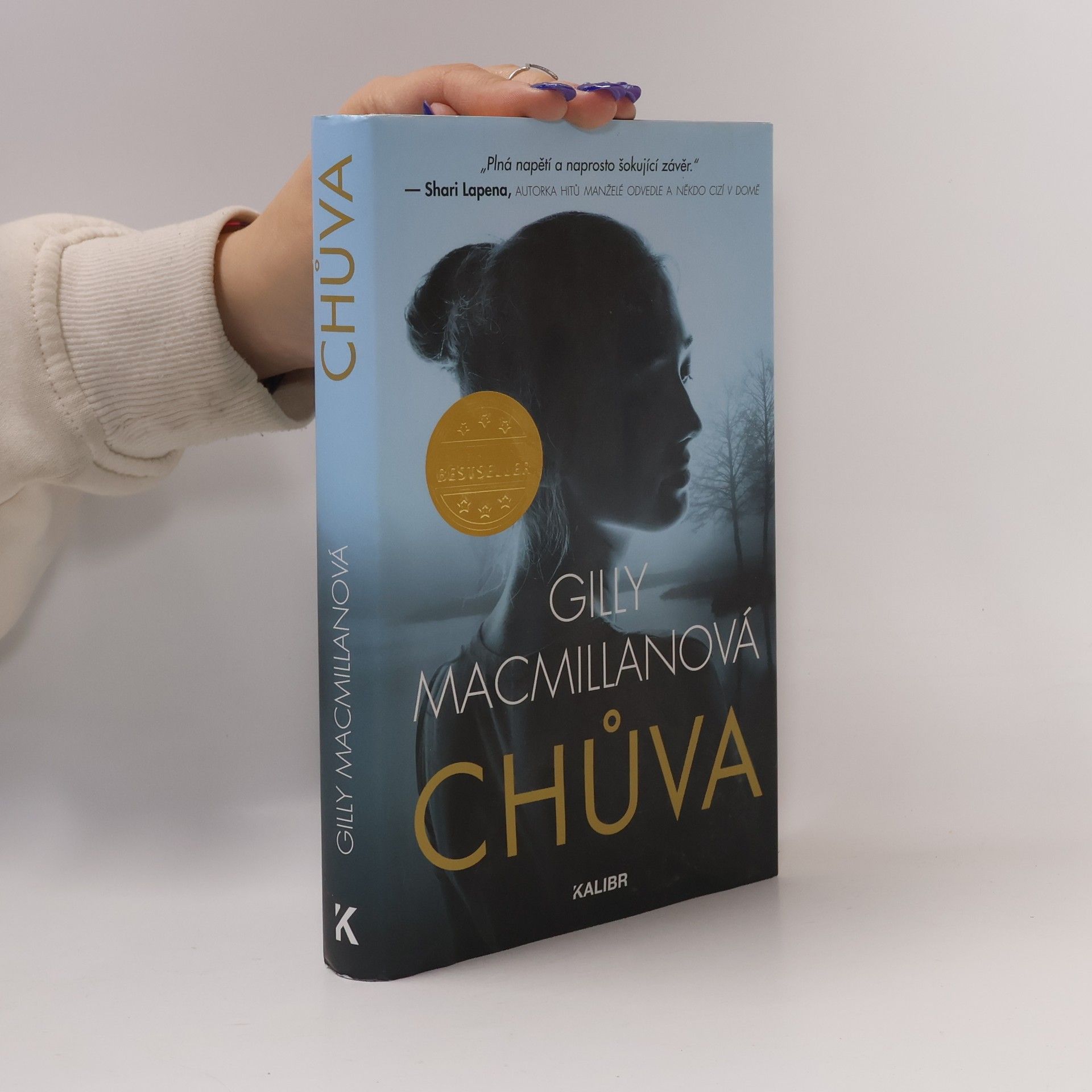 Gilly Macmillan Chůva