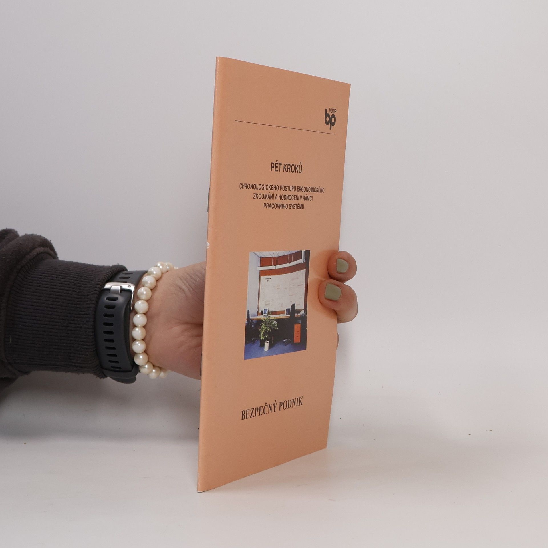 Miloslav Král Pět kroků chronologického postupu ergonomického zkoumání a hodnocení v rámci pracovního systému