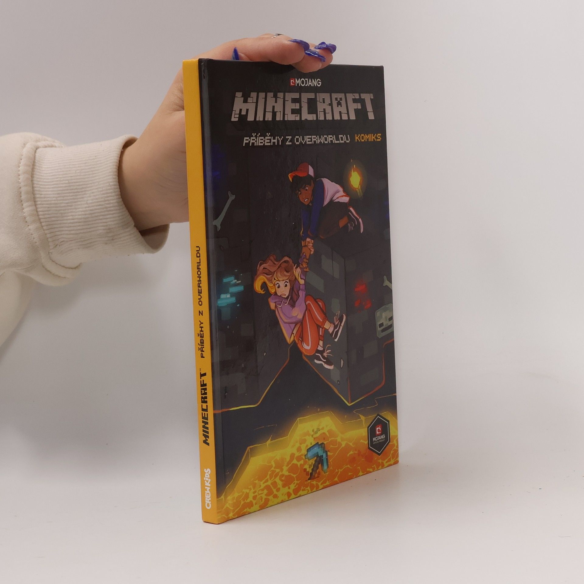 Ian Flynn Minecraft. Příběhy z Overworldu