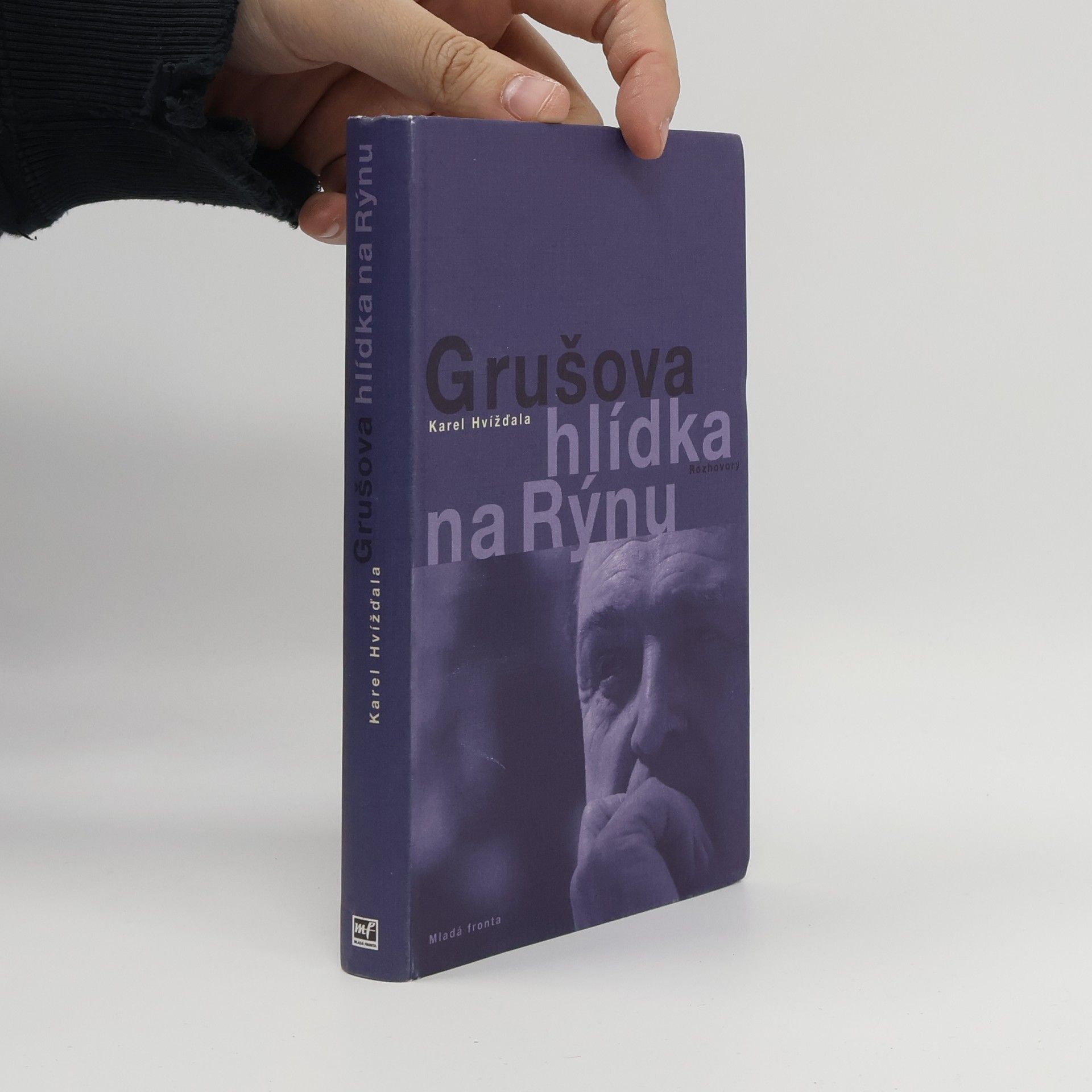 Jiří Gruša Grušova hlídka na Rýnu: Rozhovory z let 1983-2011