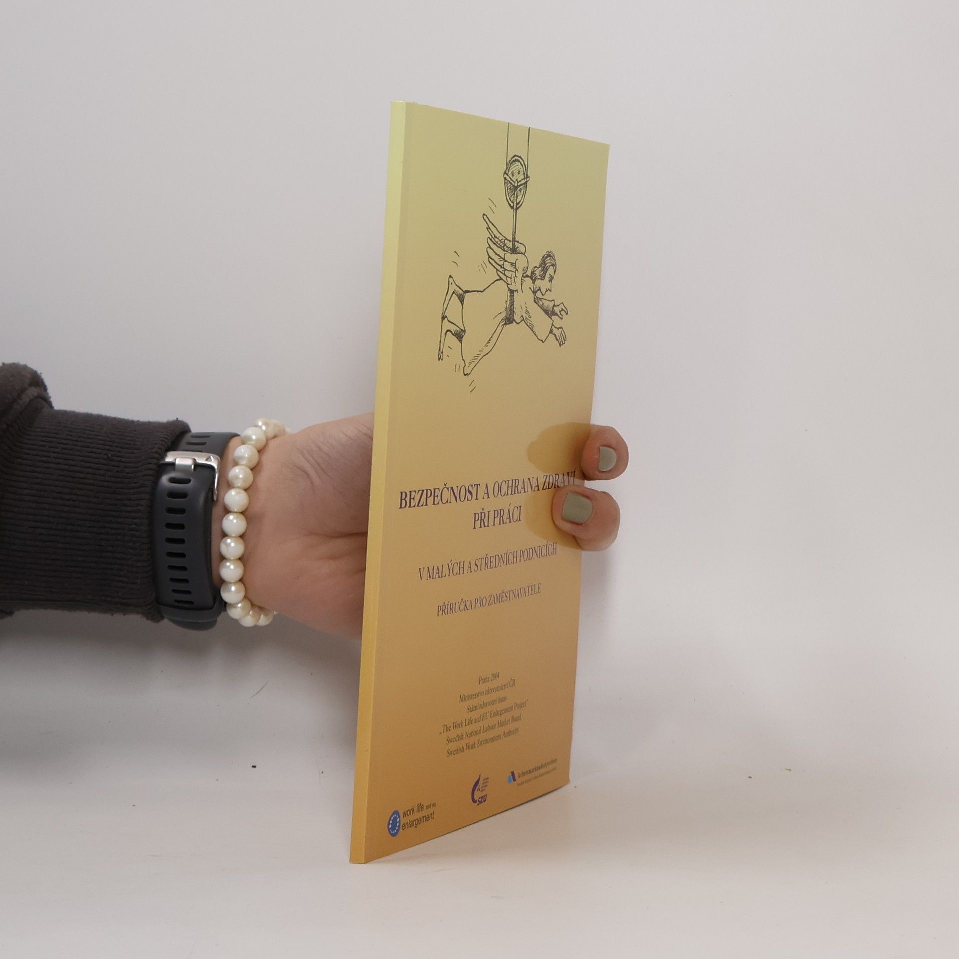 Jiří Slíva Bezpečnost a ochrana zdraví při práci v malých a středních podnicích : příručka pro zaměstnavatele