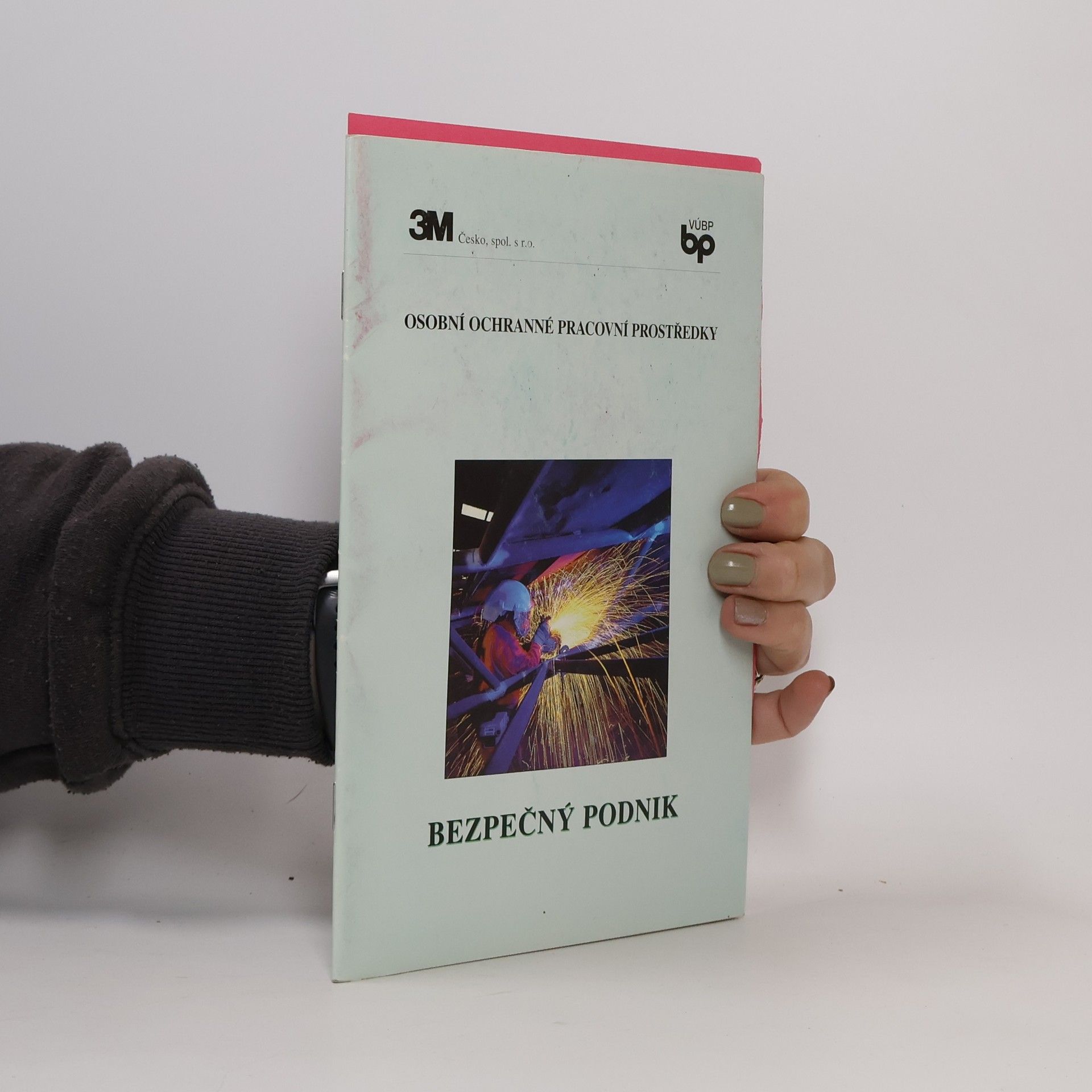 Autorenkollektiv Osobní a ochranné pracovní prostředky. Bezpečný podnik